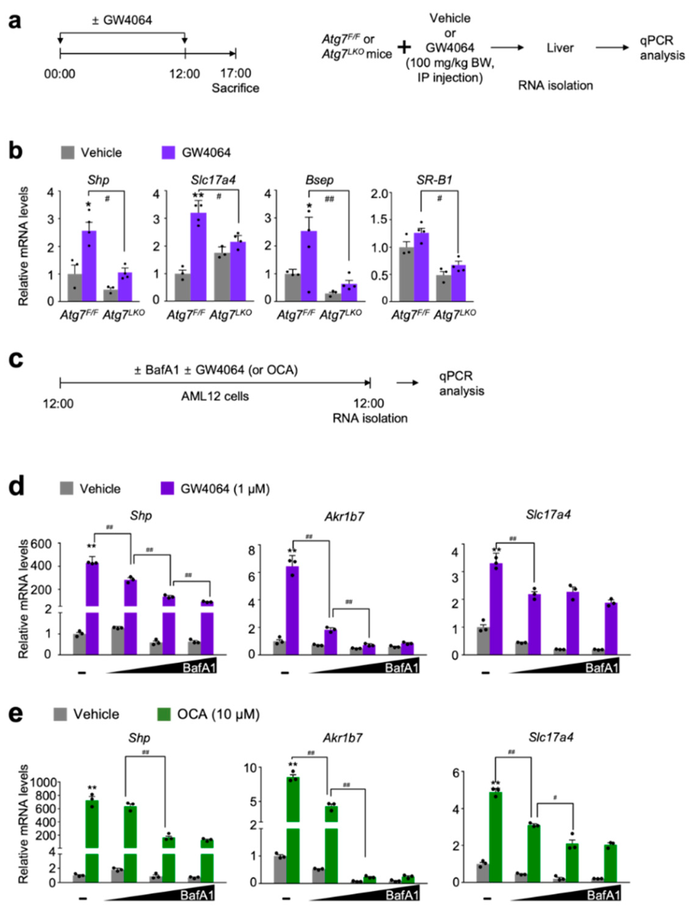 Antioxidants 11 00370 g001