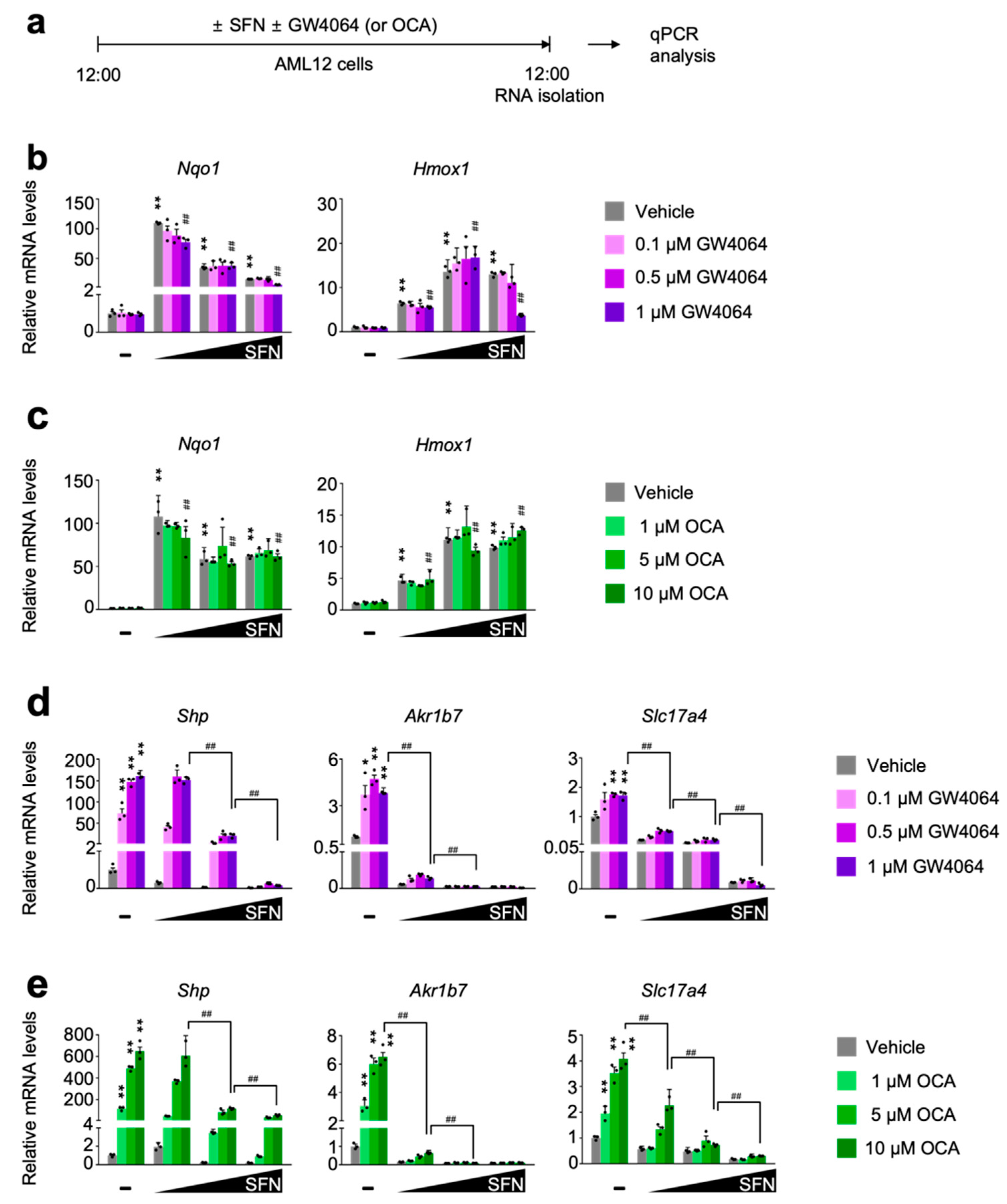 Antioxidants 11 00370 g002