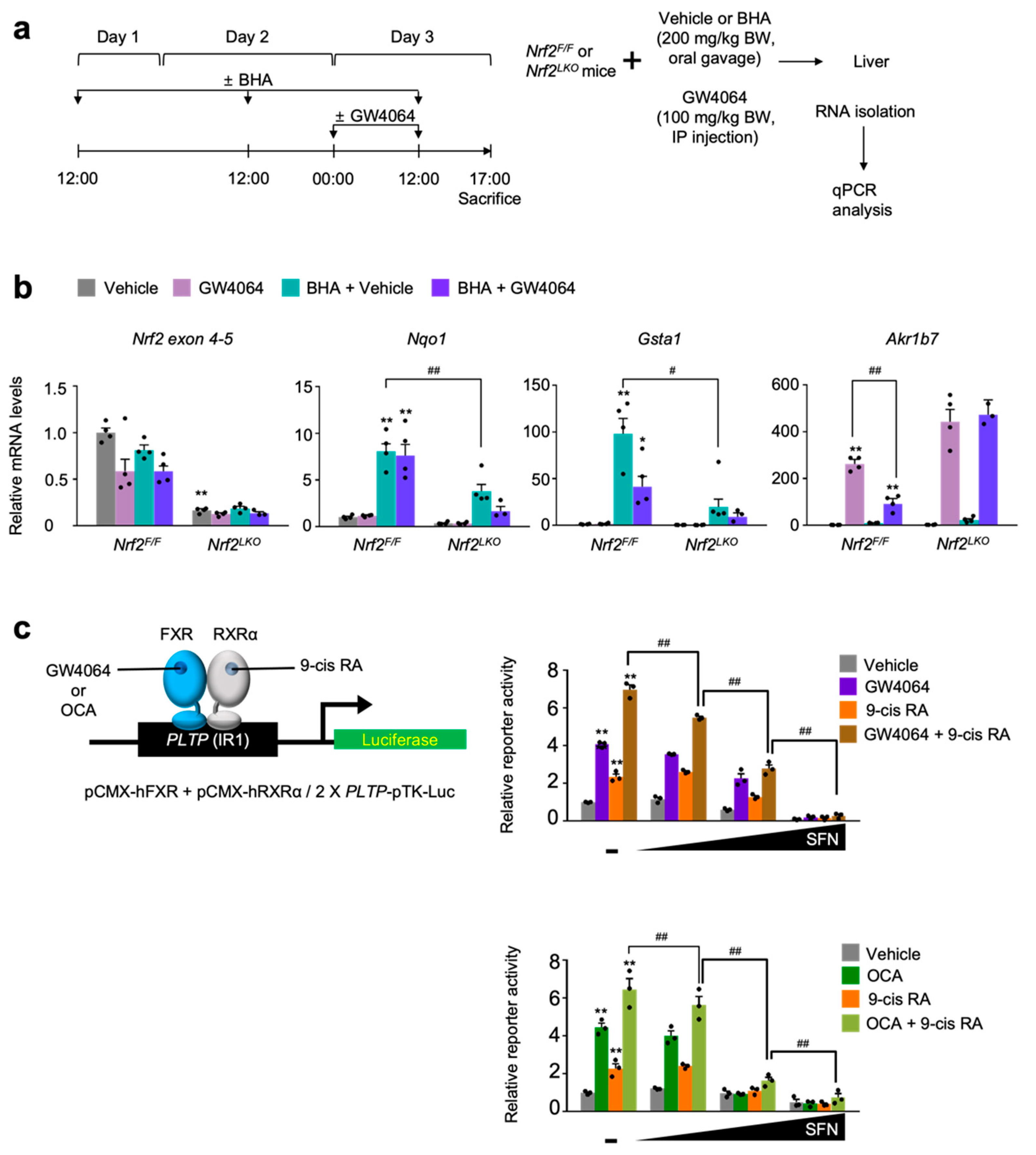 Antioxidants 11 00370 g005
