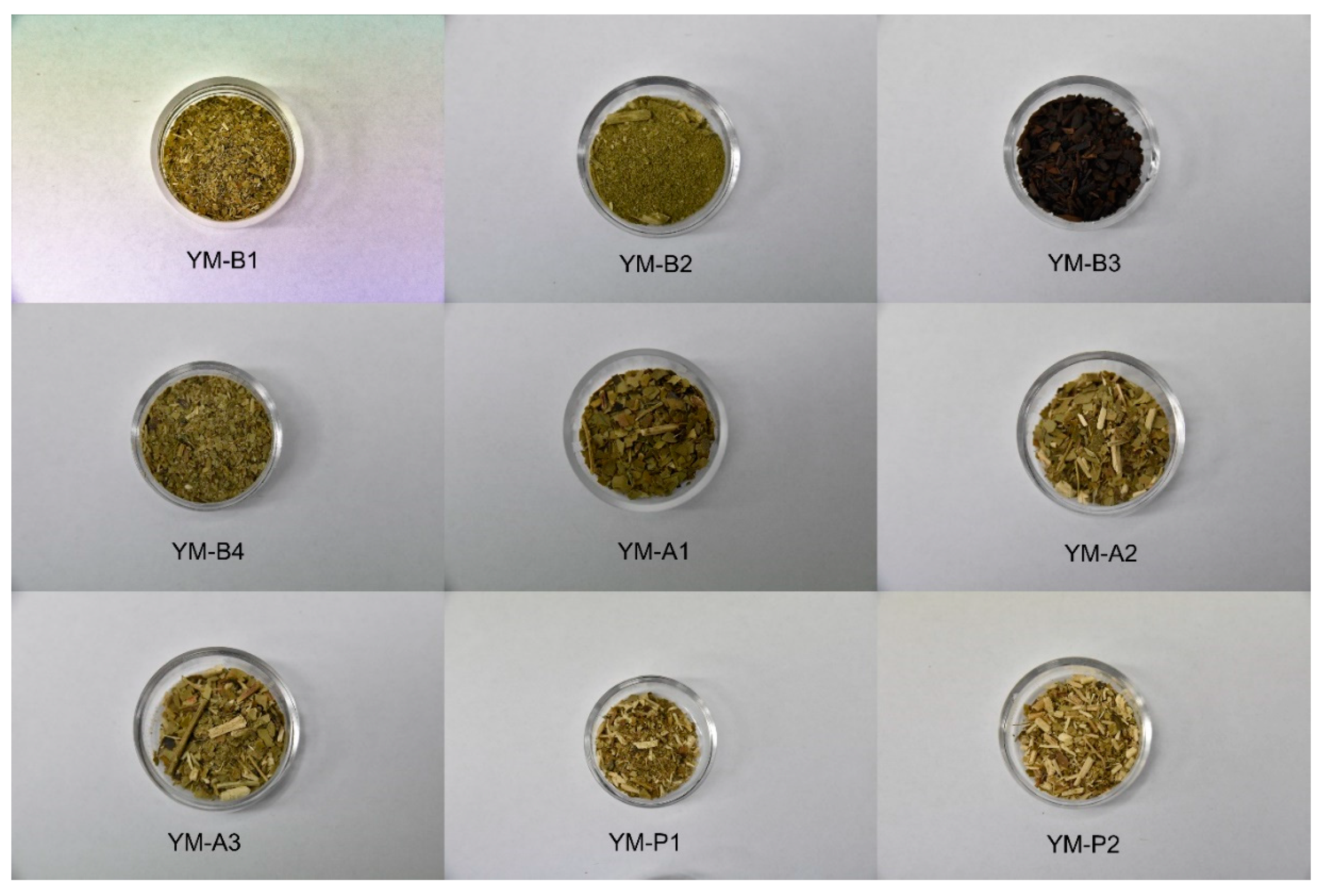 Antioxidants 11 00371 g001