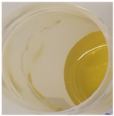 Antioxidants 11 00373 i001