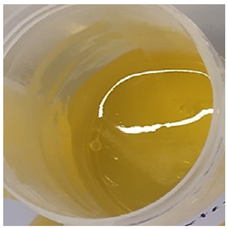 Antioxidants 11 00373 i002