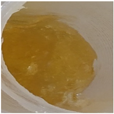 Antioxidants 11 00373 i006