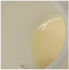 Antioxidants 11 00373 i007