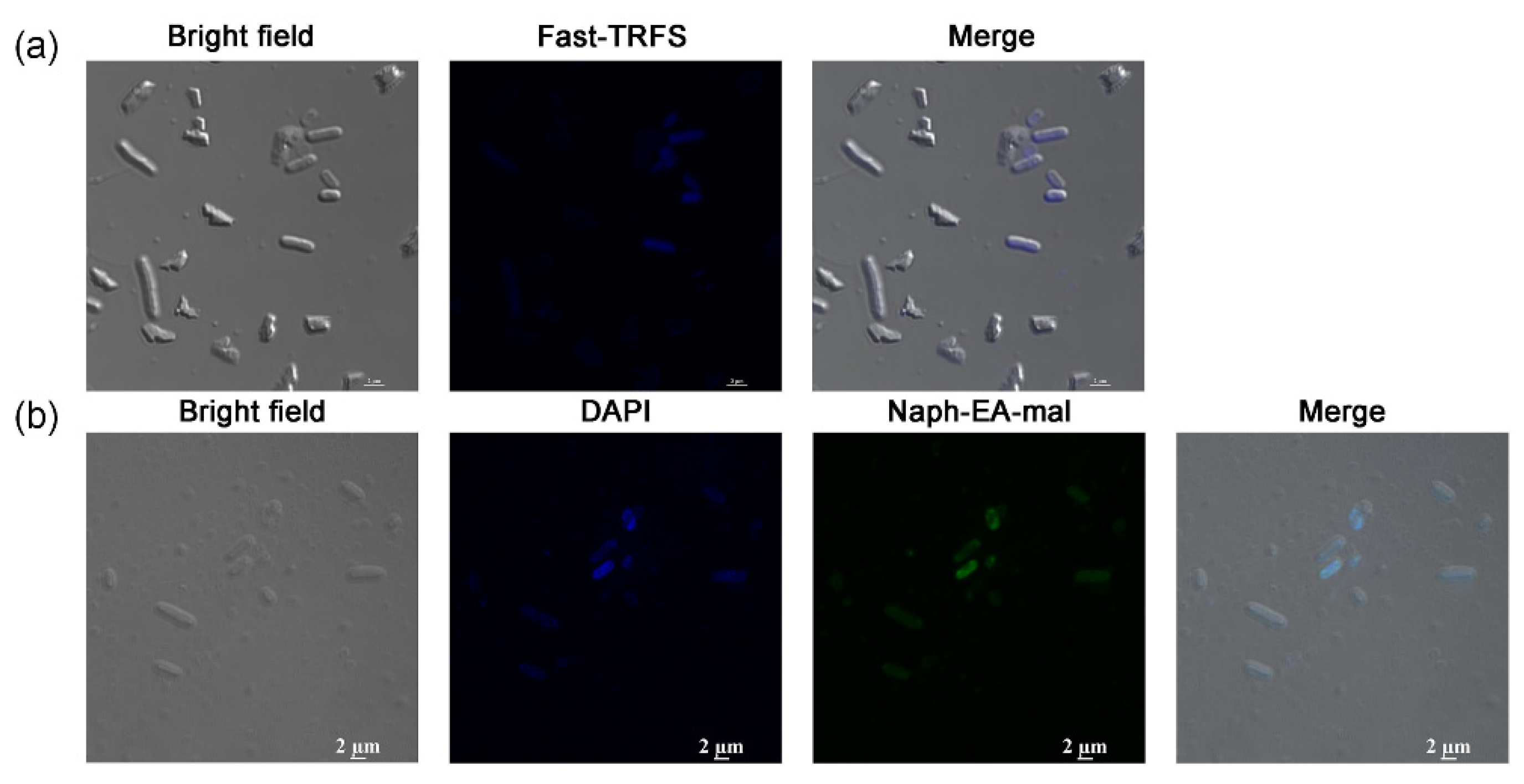 Antioxidants 11 00377 g002