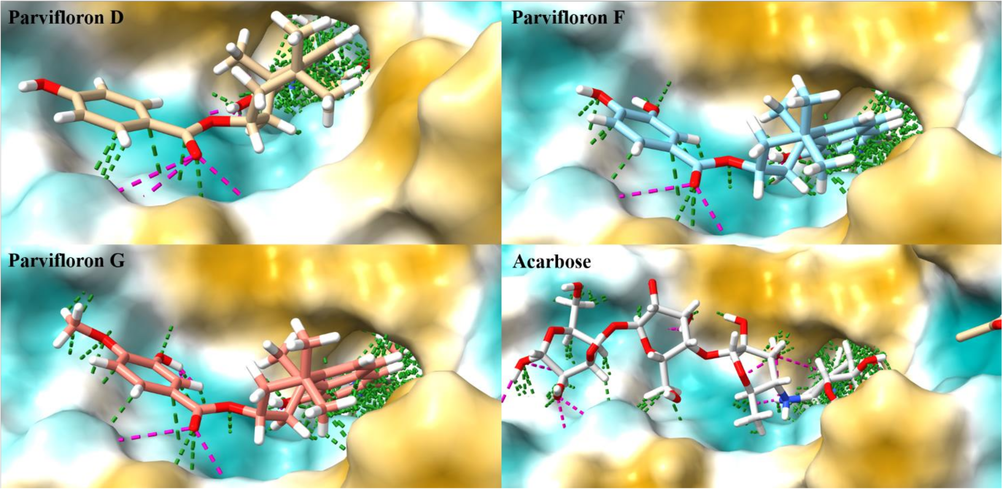 Antioxidants 11 00378 g003