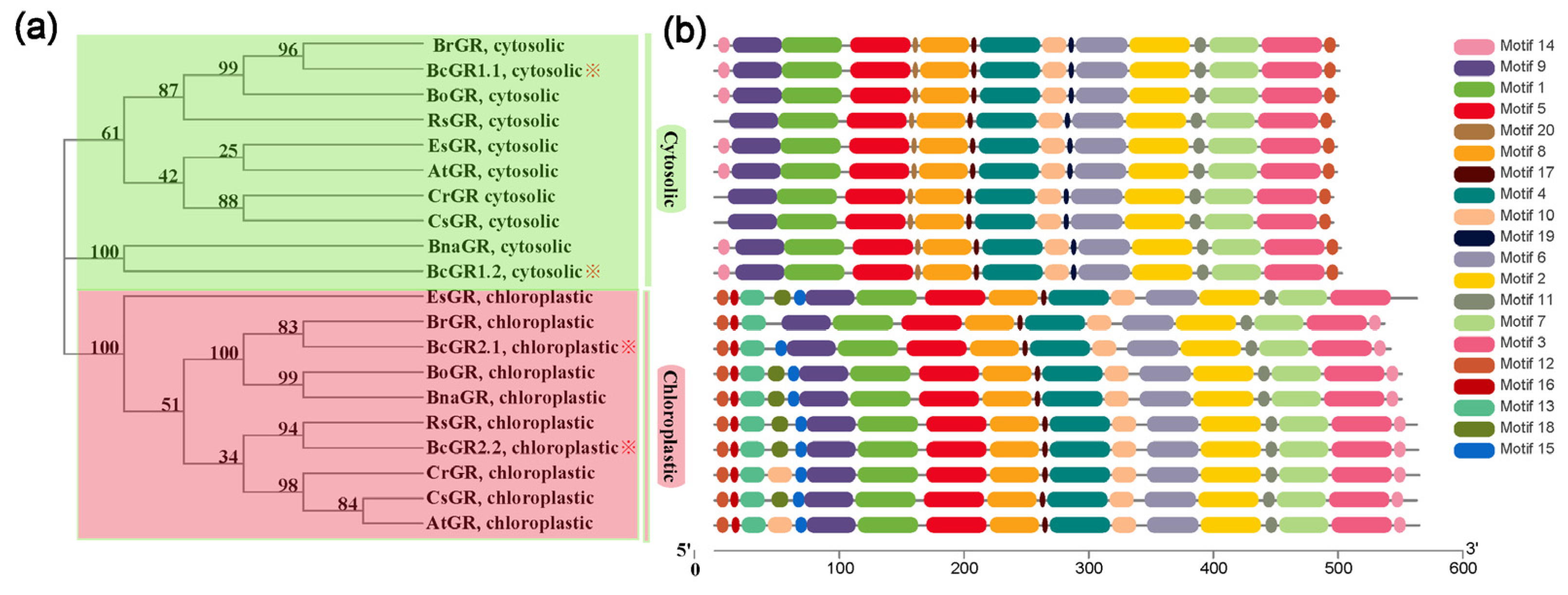 Antioxidants 11 00389 g001