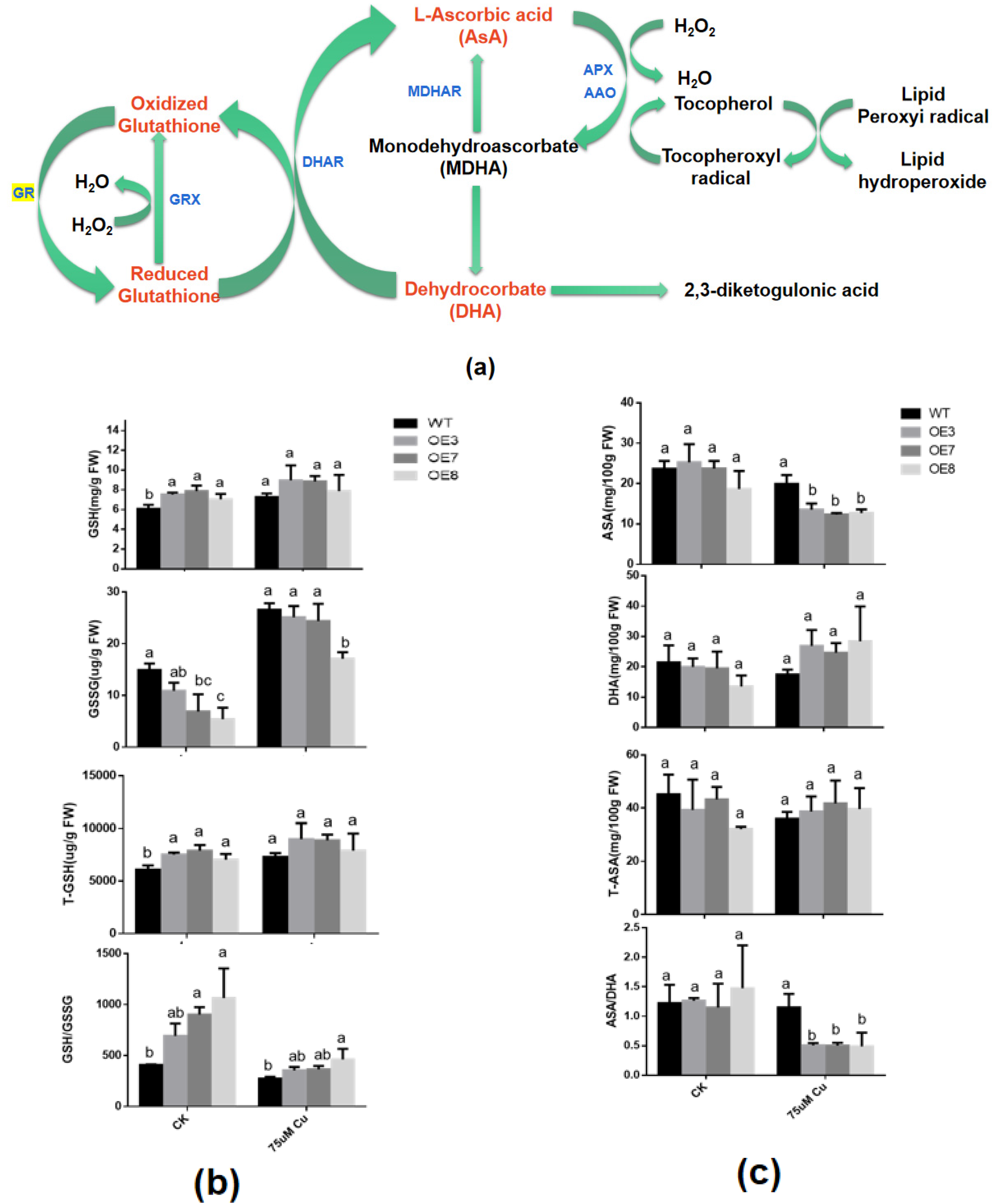Antioxidants 11 00389 g006
