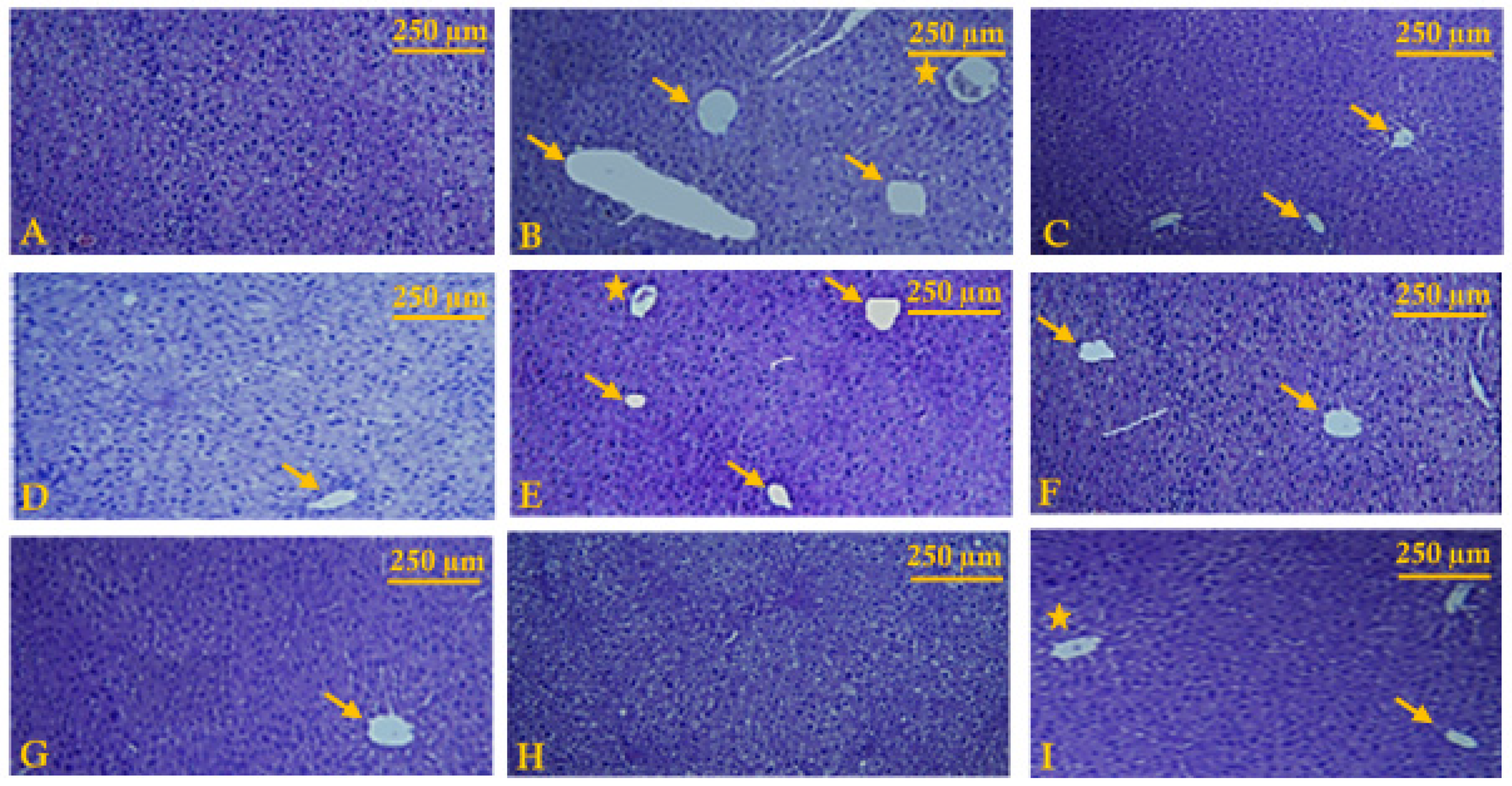 Antioxidants 11 00390 g006
