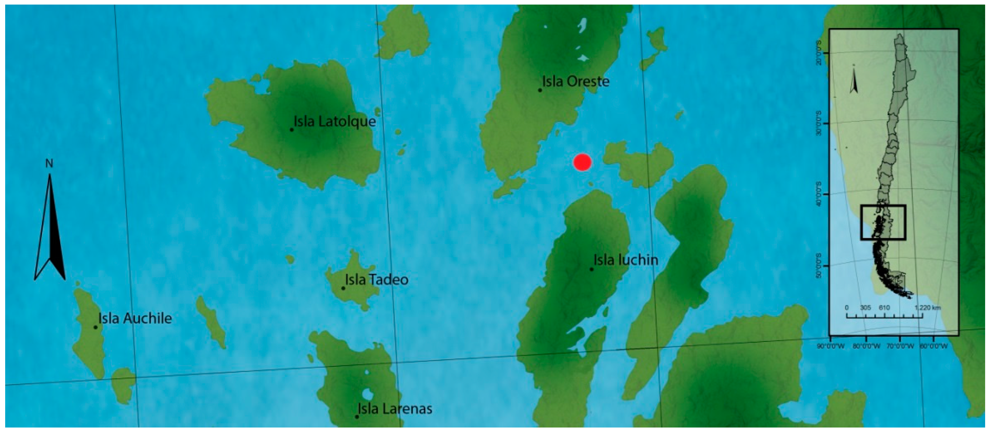 Antioxidants 11 00392 g002