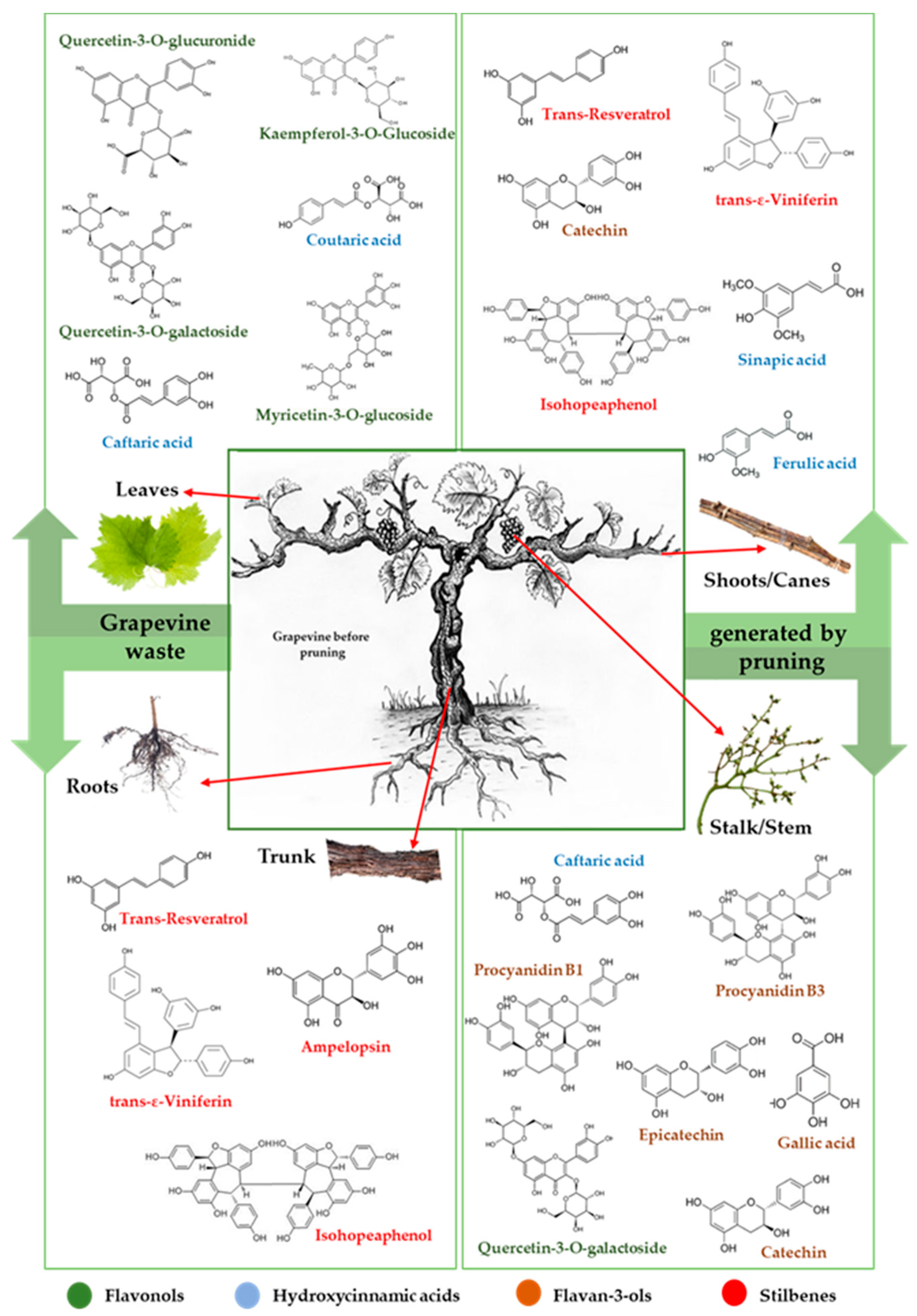 Antioxidants 11 00393 g003