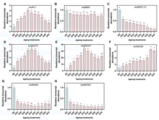 Antioxidants 11 00395 g008 550