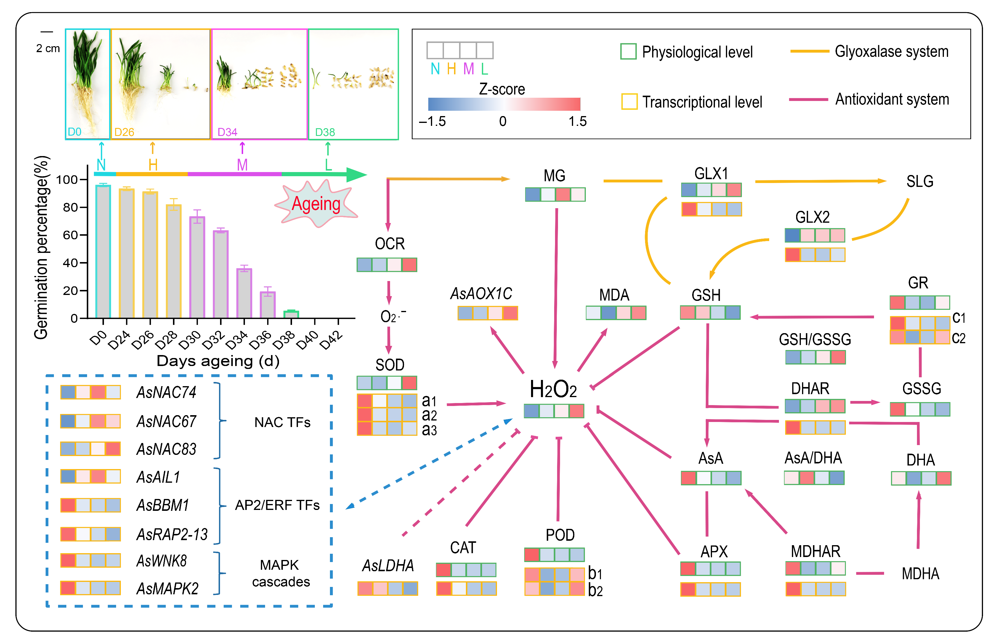 Antioxidants 11 00395 g012