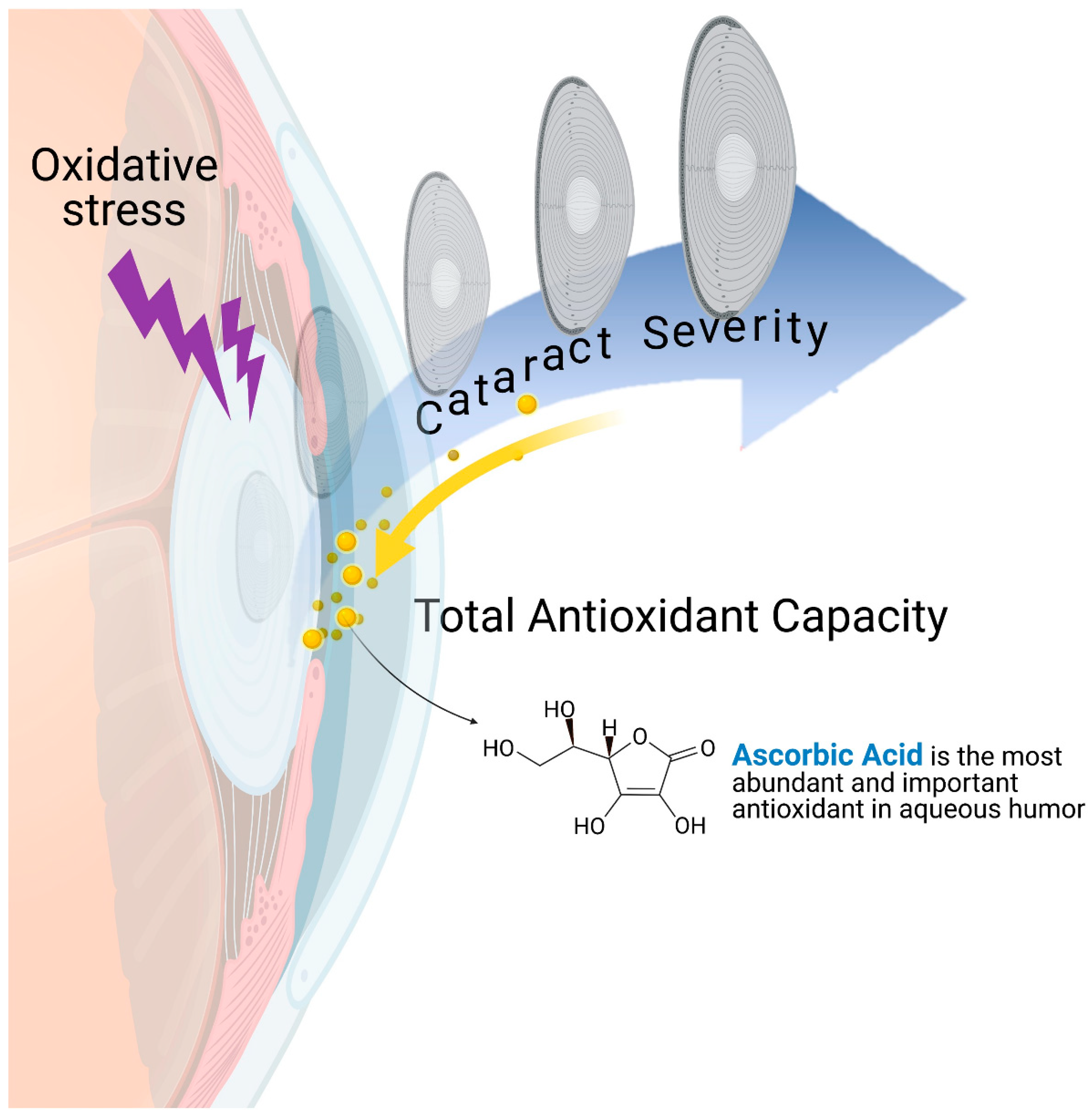 Antioxidants 11 00397 g001