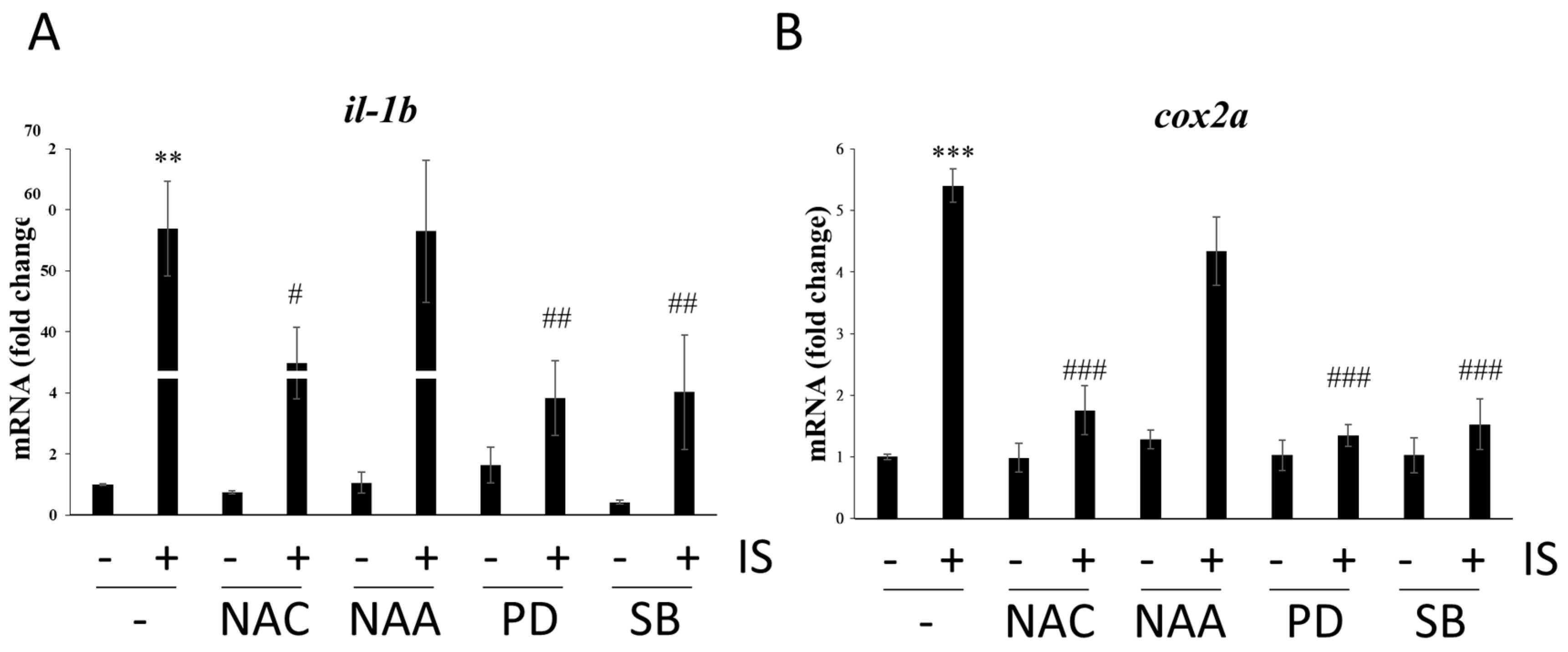 Antioxidants 11 00400 g006