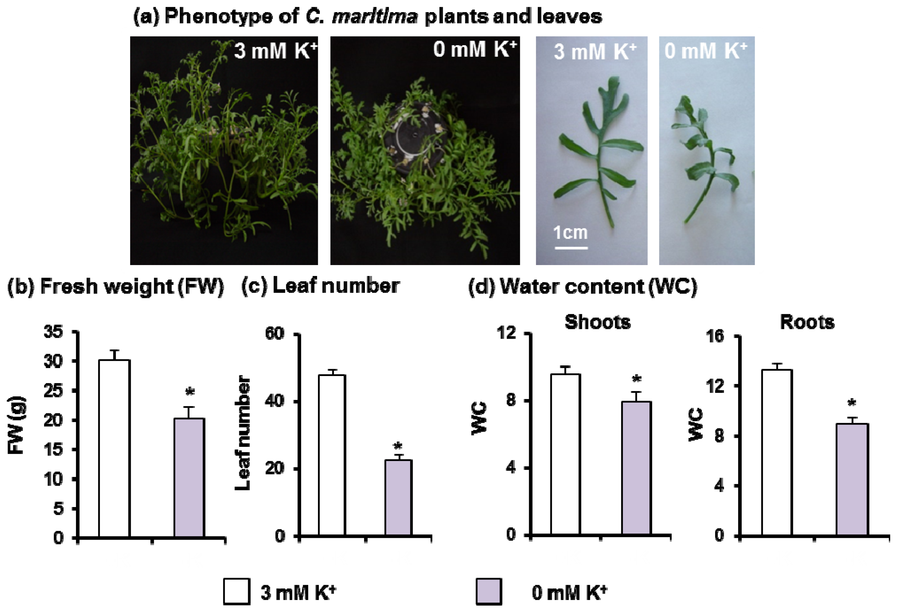 Antioxidants 11 00401 g002