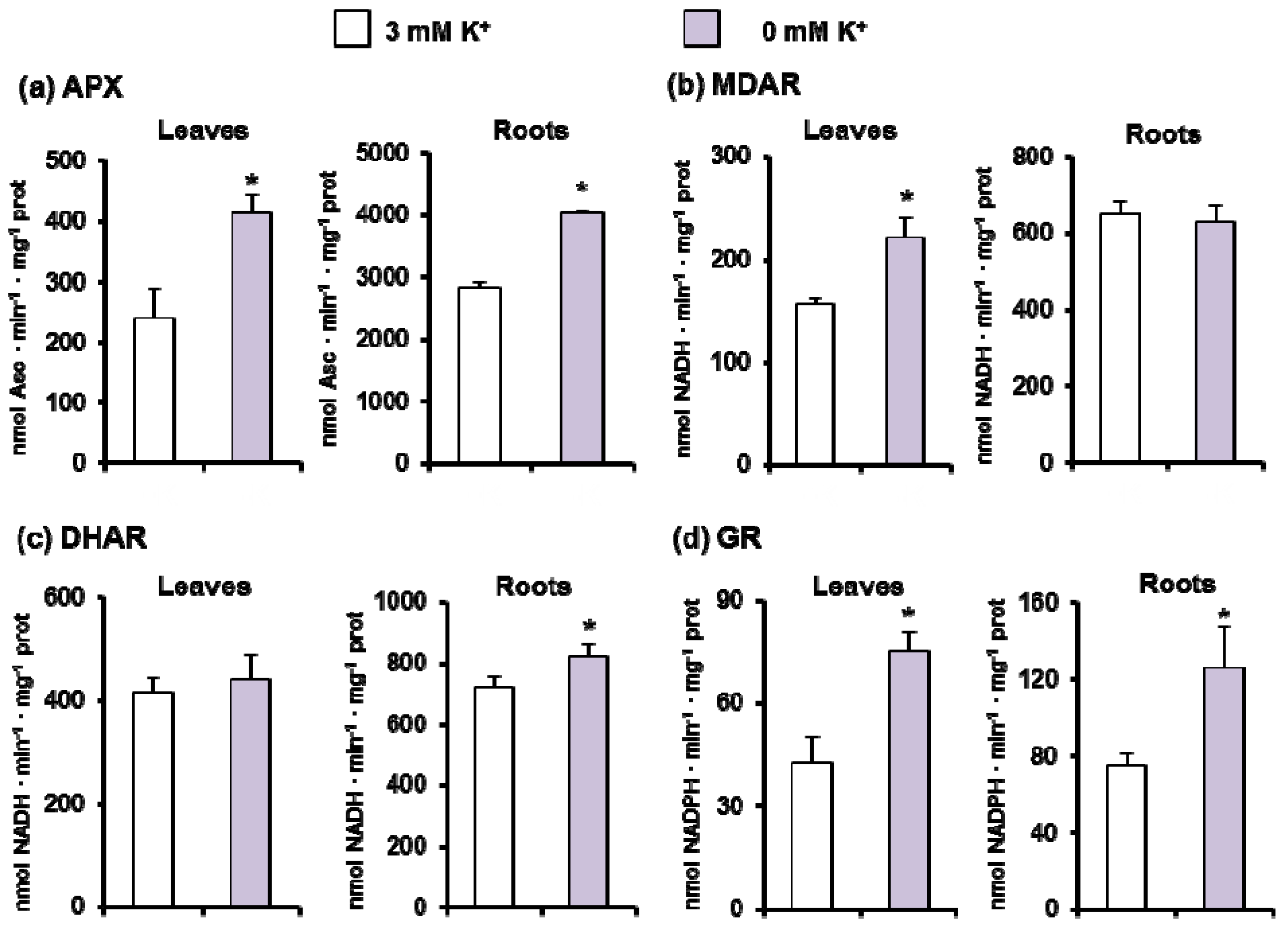 Antioxidants 11 00401 g005
