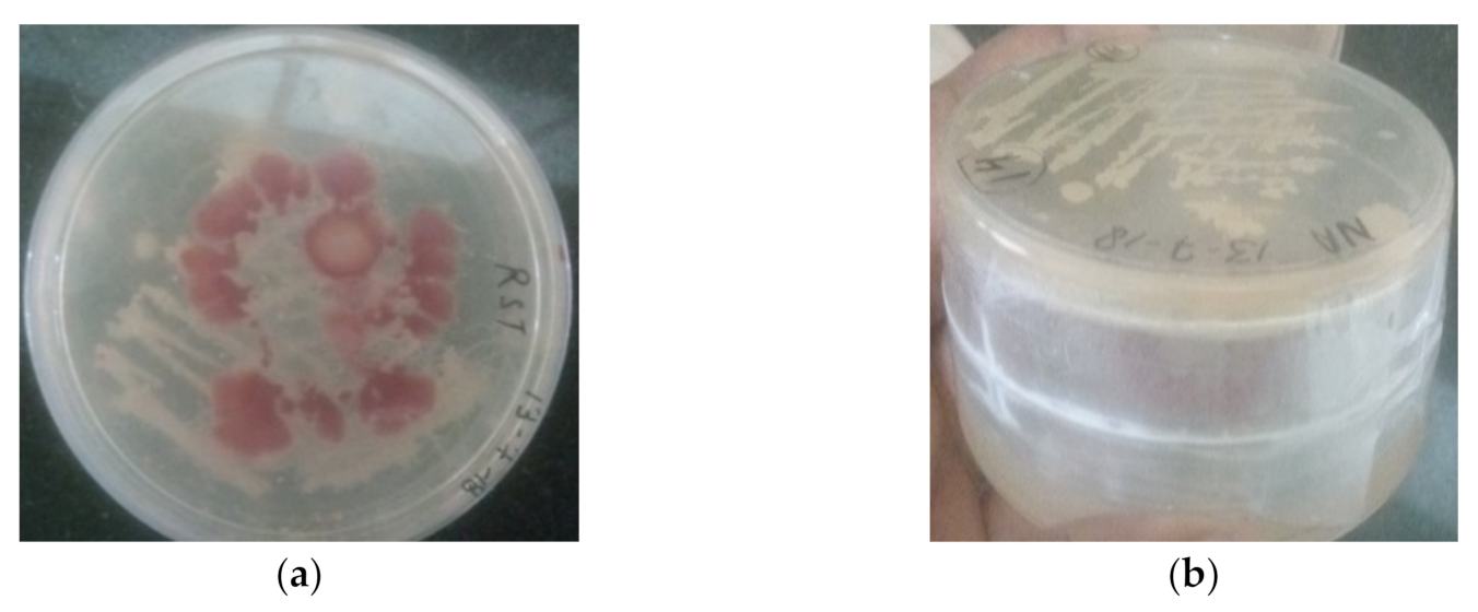 Antioxidants 11 00404 g001