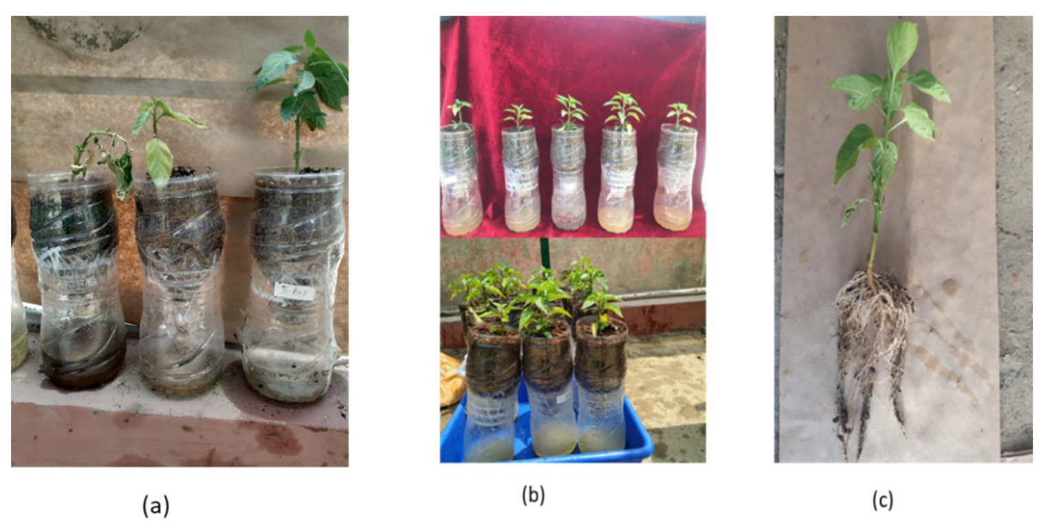 Antioxidants 11 00404 g008