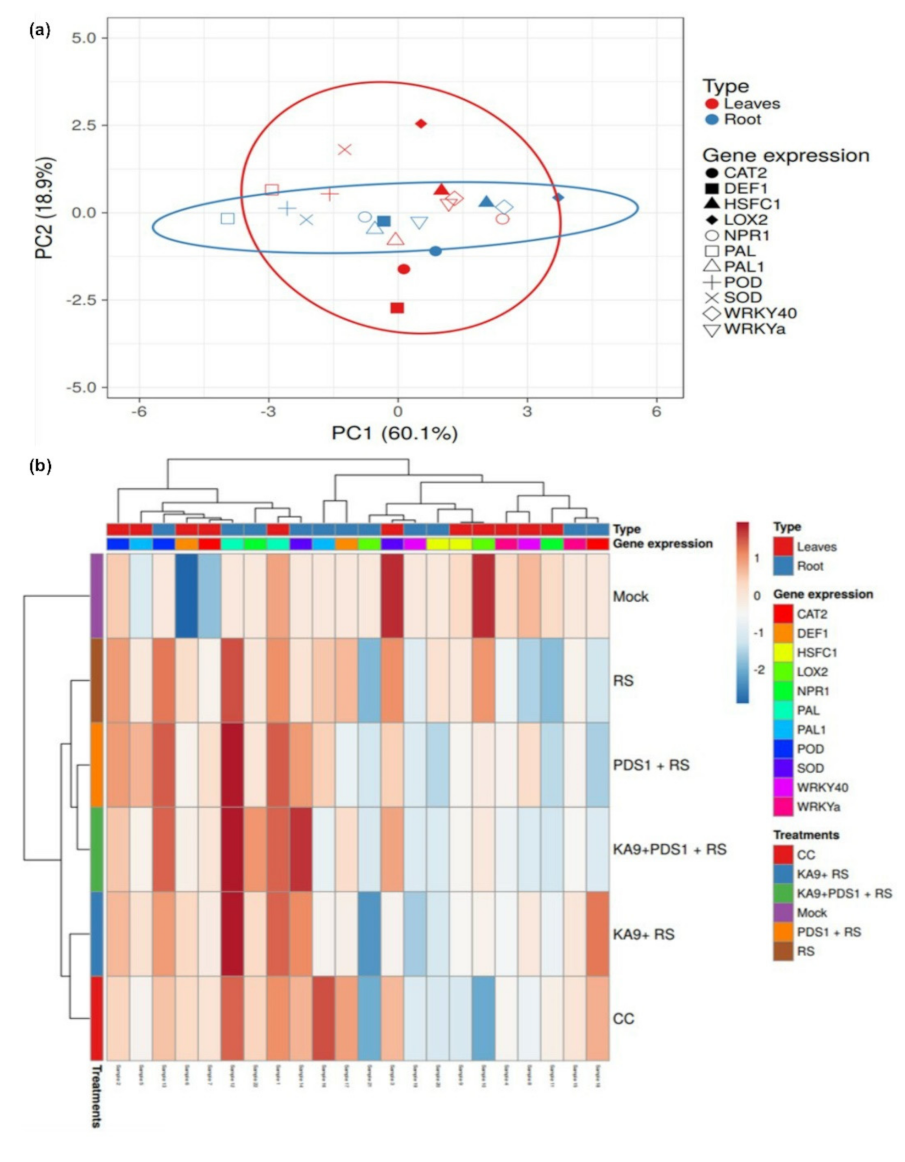 Antioxidants 11 00404 g010