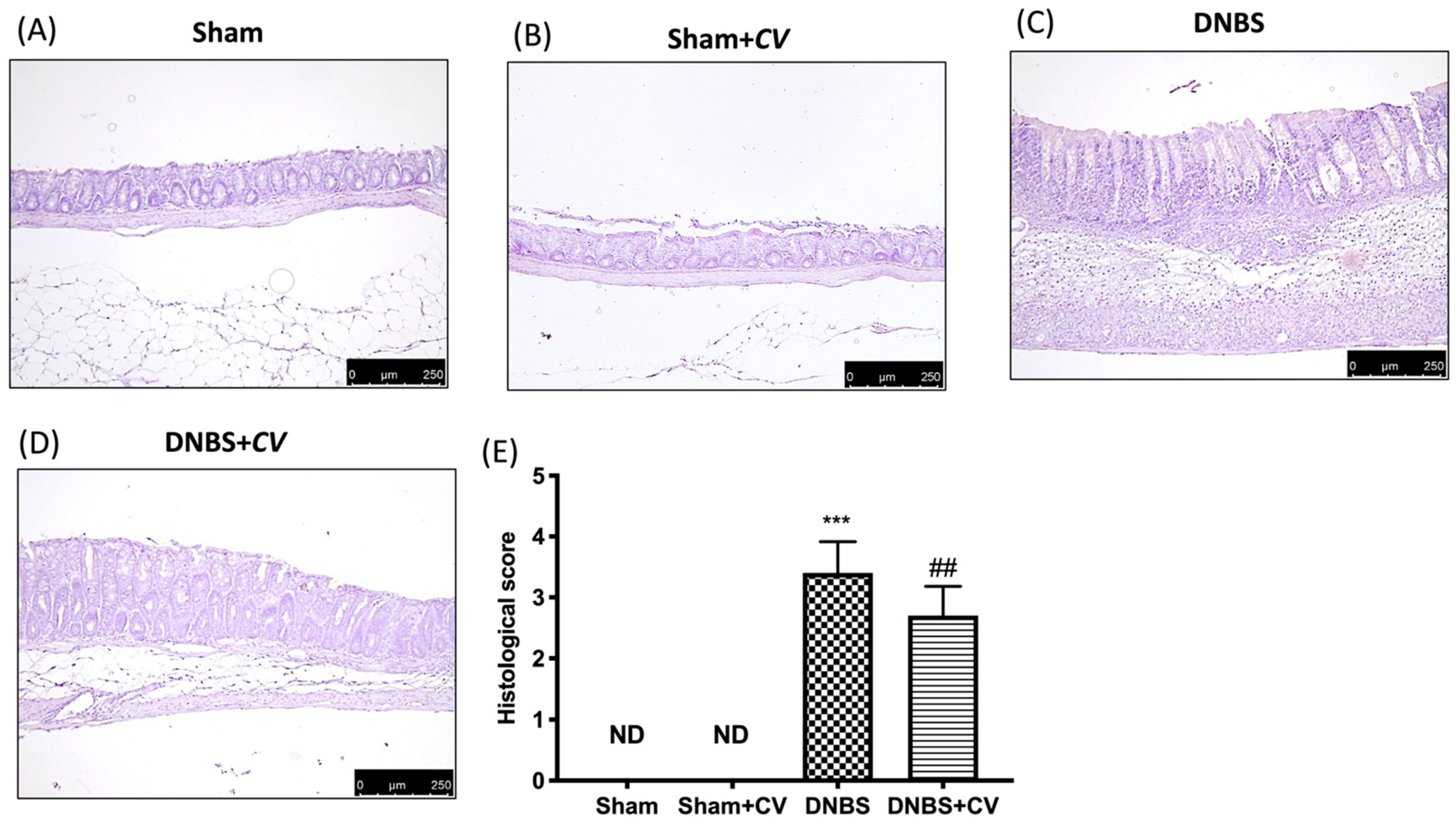 Antioxidants 11 00406 g002