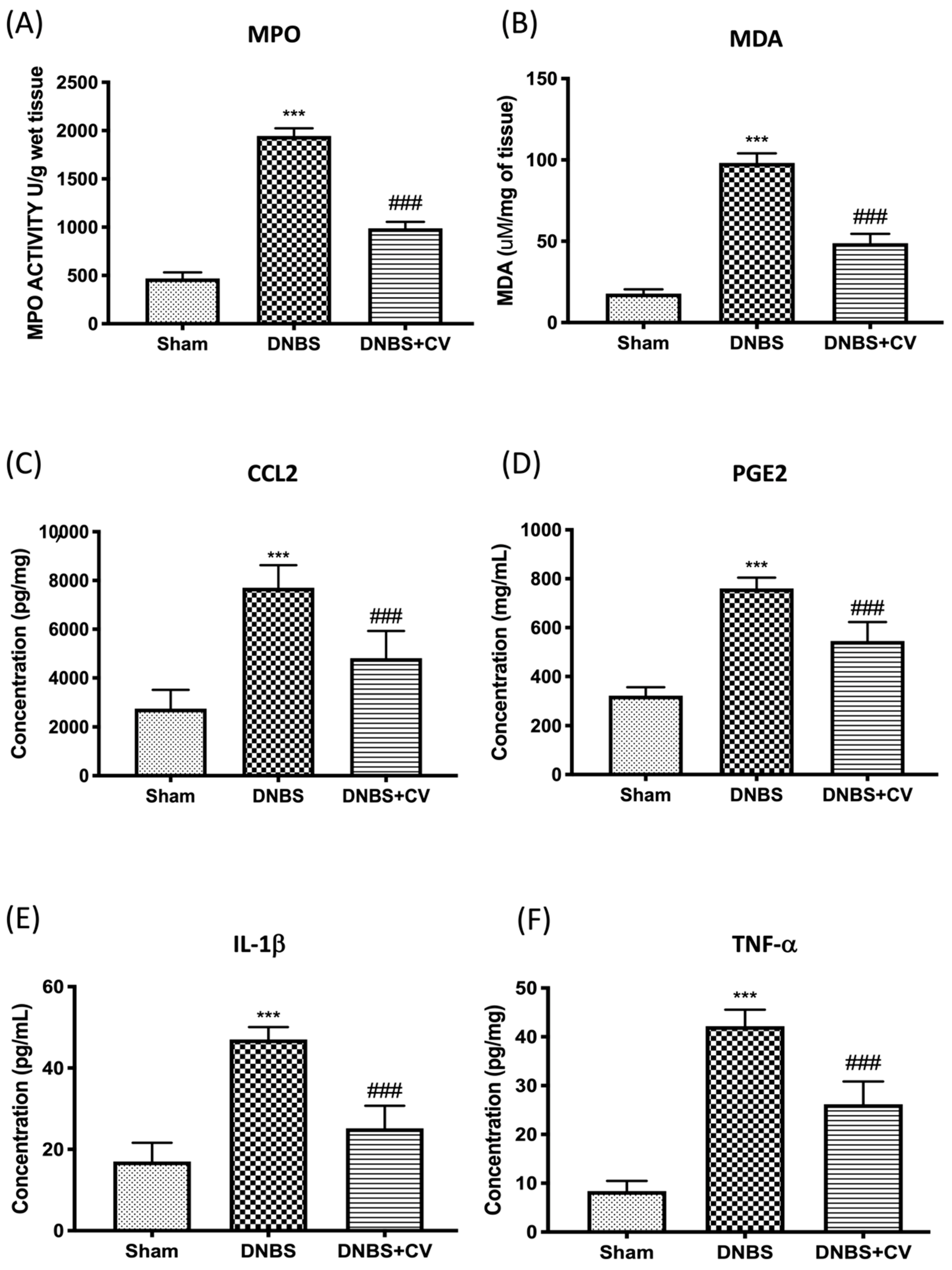 Antioxidants 11 00406 g004