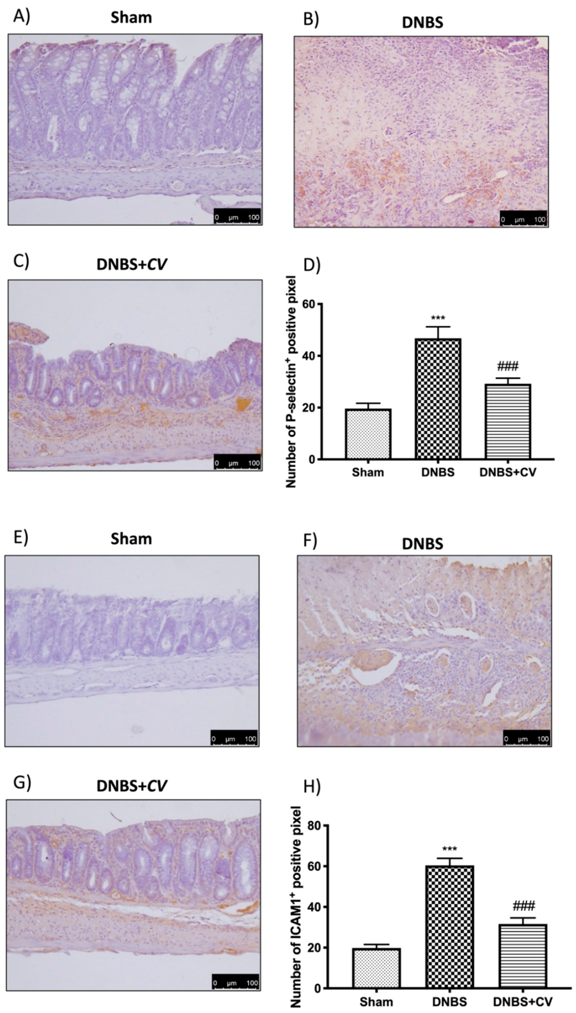 Antioxidants 11 00406 g006