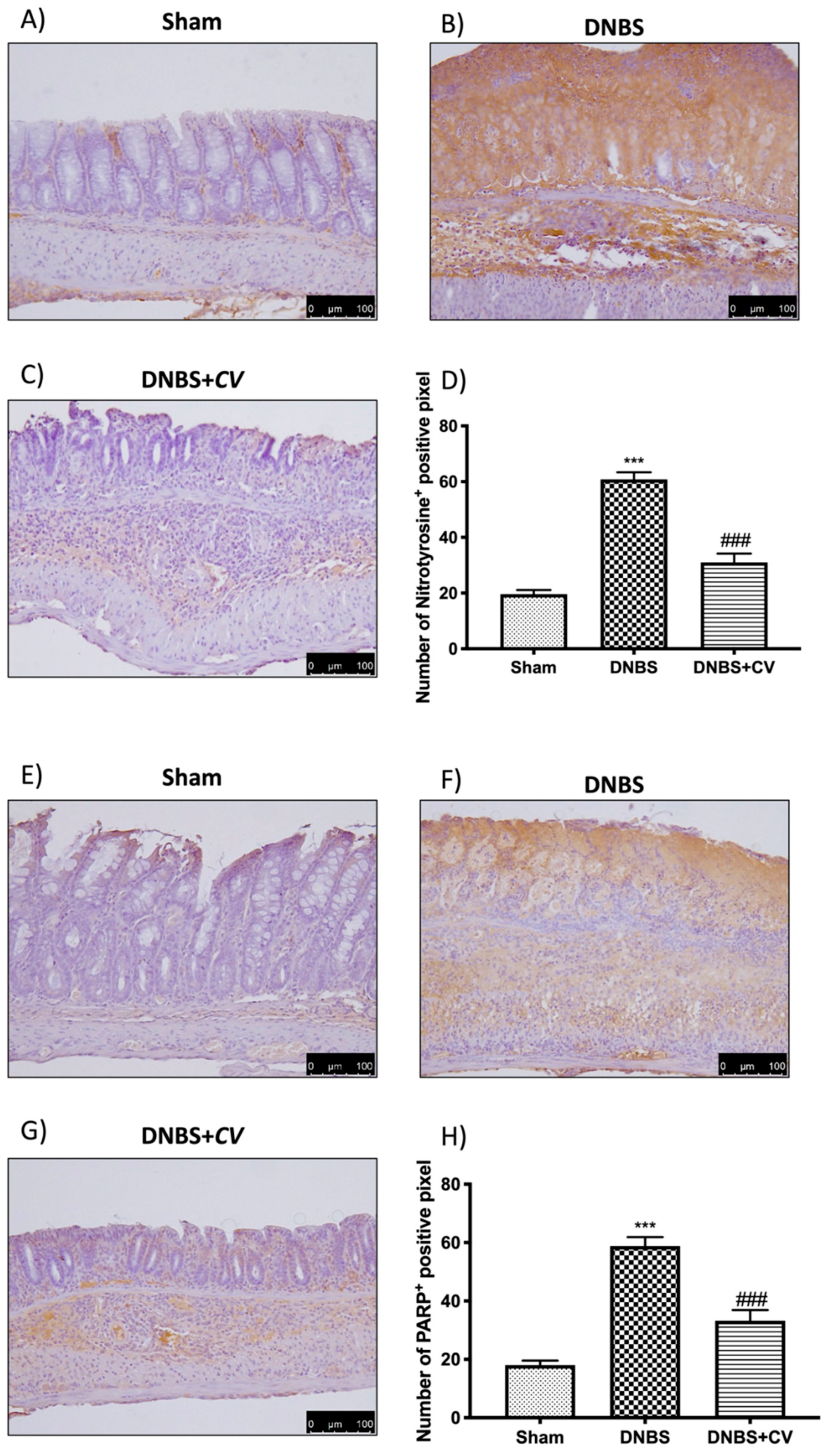 Antioxidants 11 00406 g007