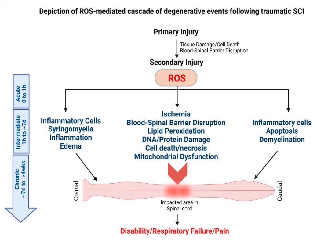Antioxidants 11 00408 g003