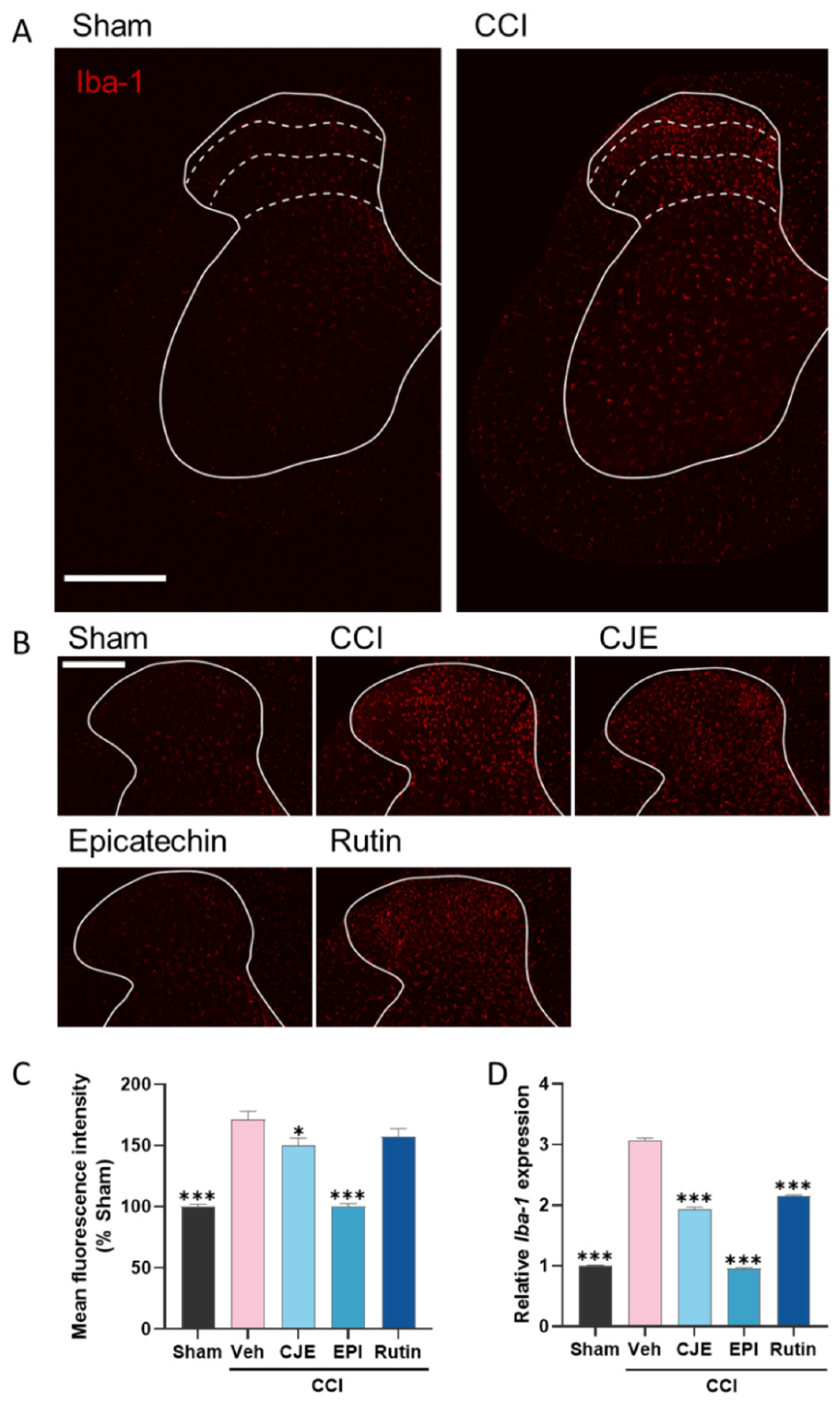 Antioxidants 11 00410 g007