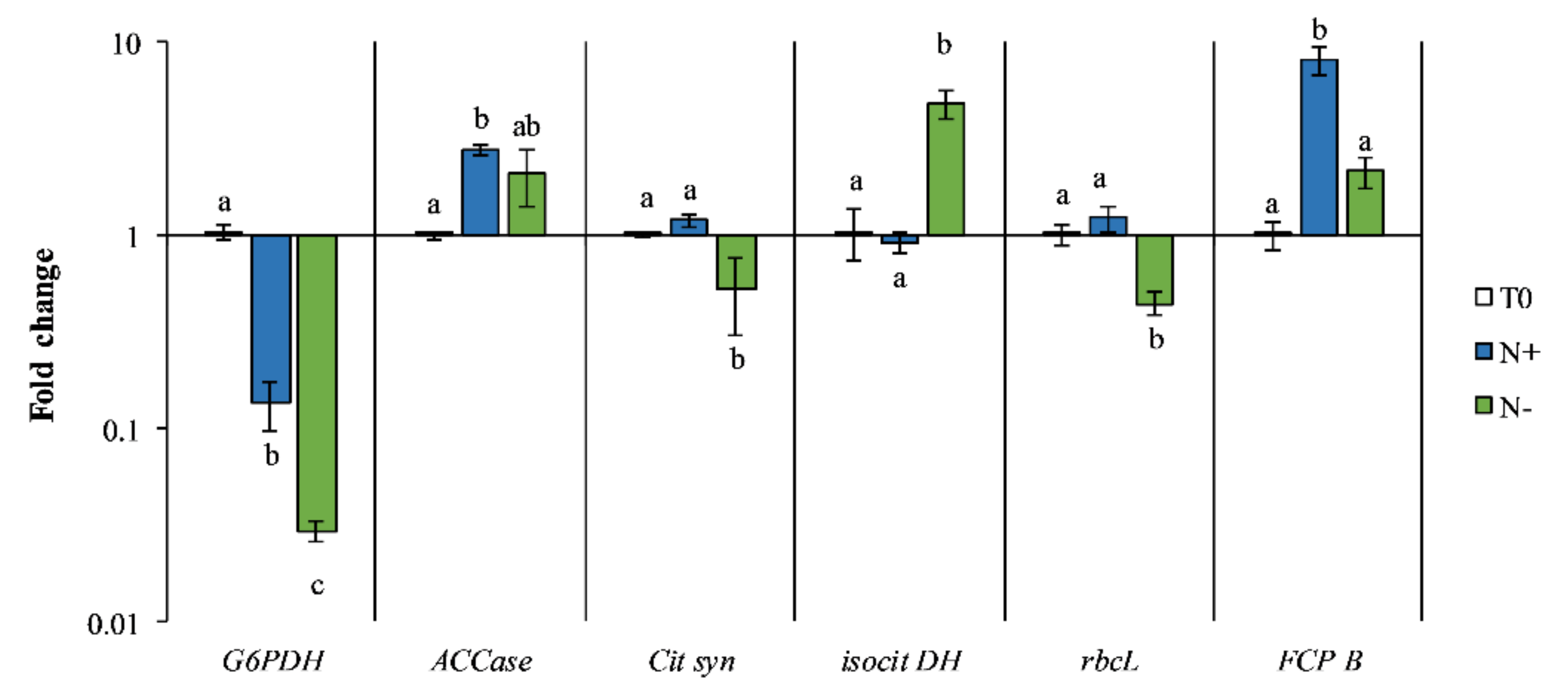 Antioxidants 11 00411 g009