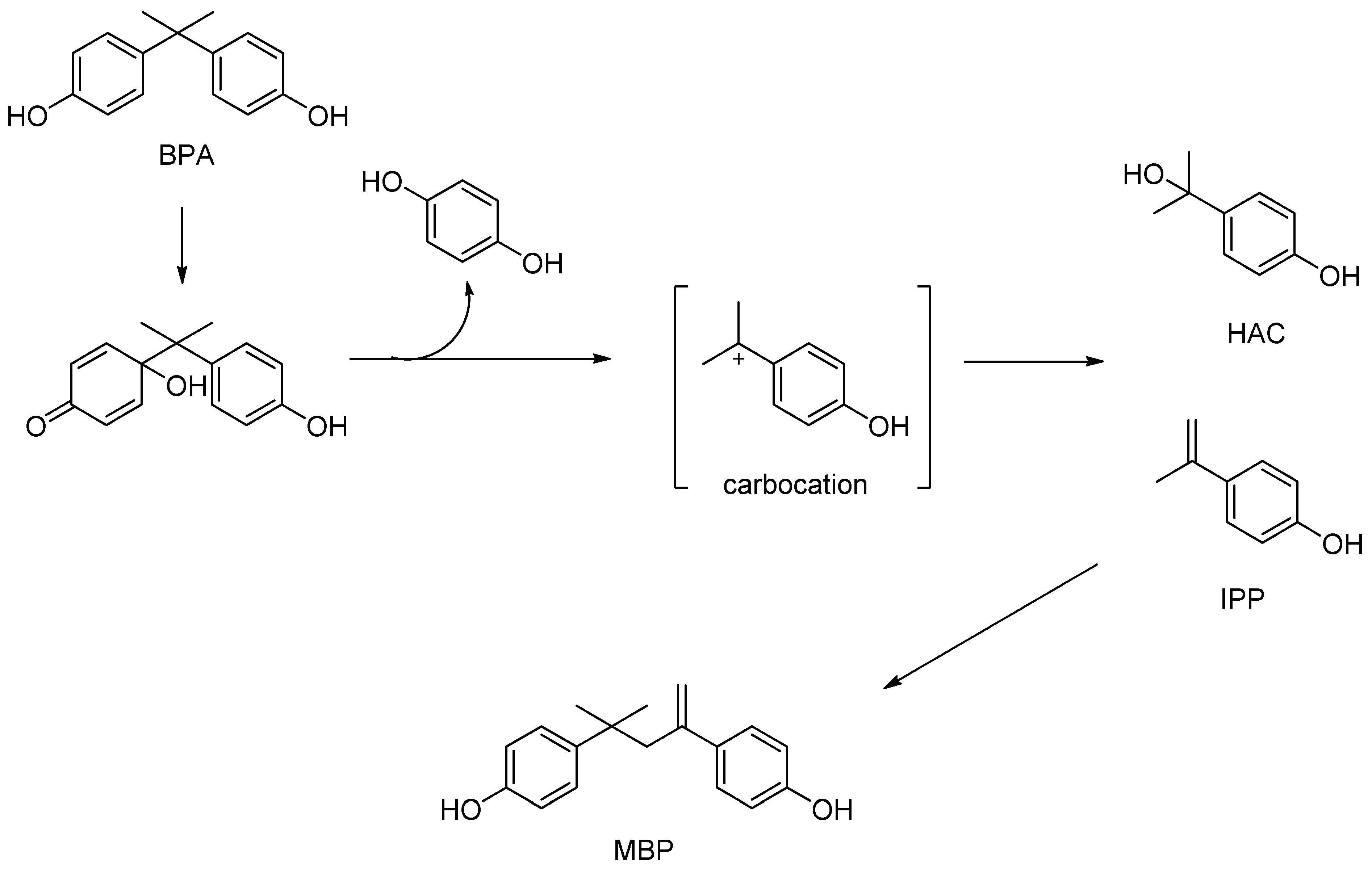 Antioxidants 11 00413 g002