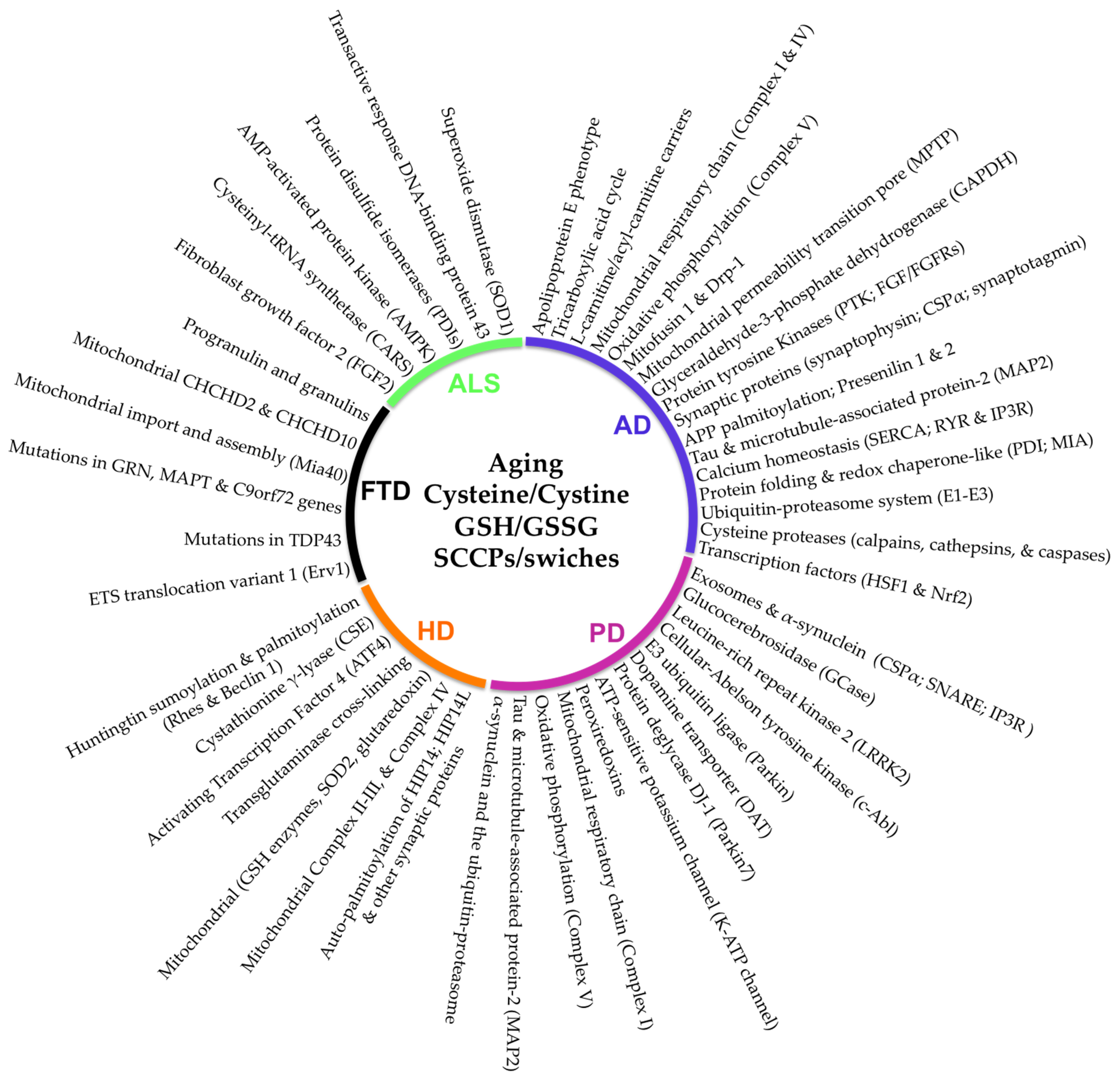 Antioxidants 11 00416 g001