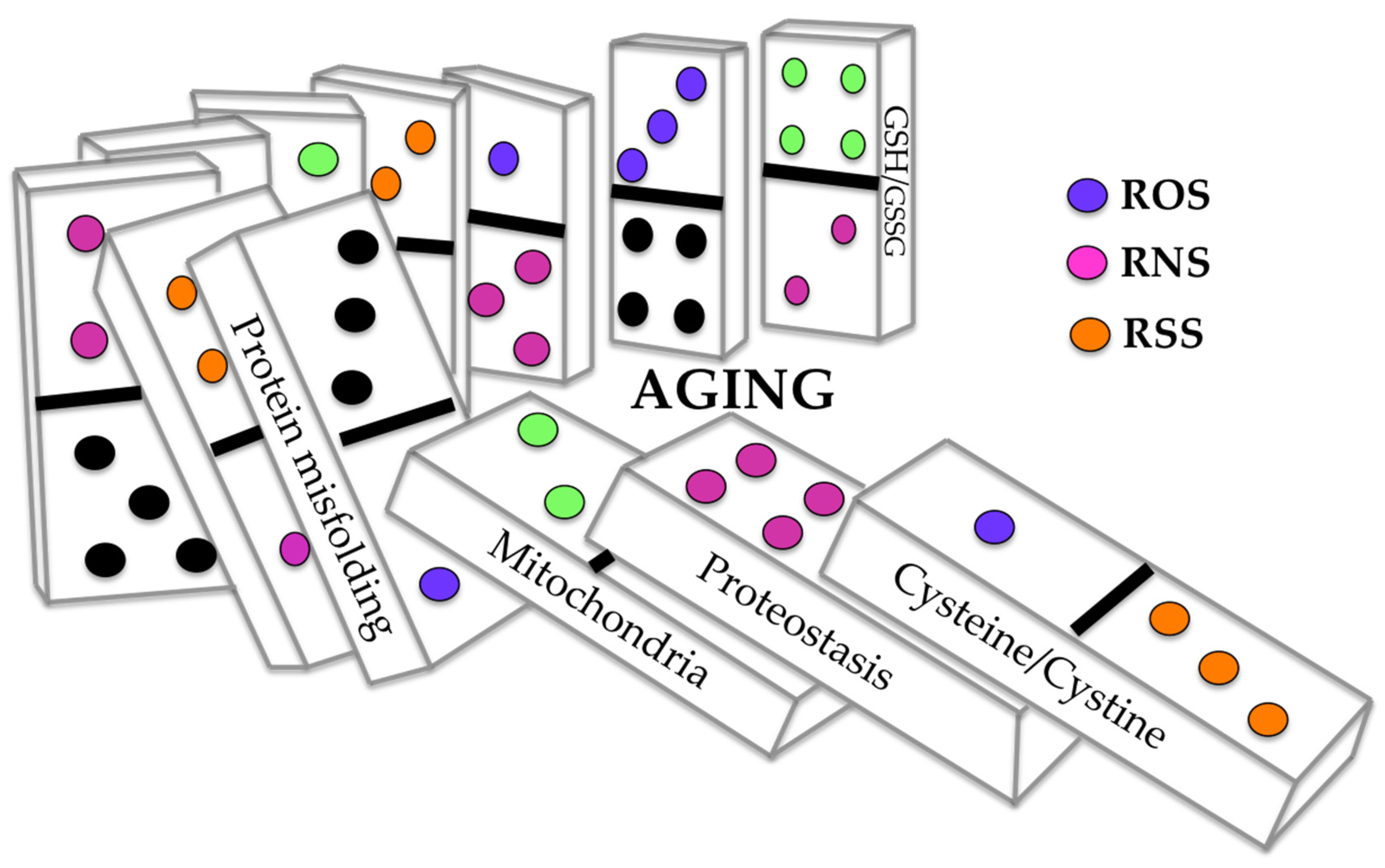 Antioxidants 11 00416 g003