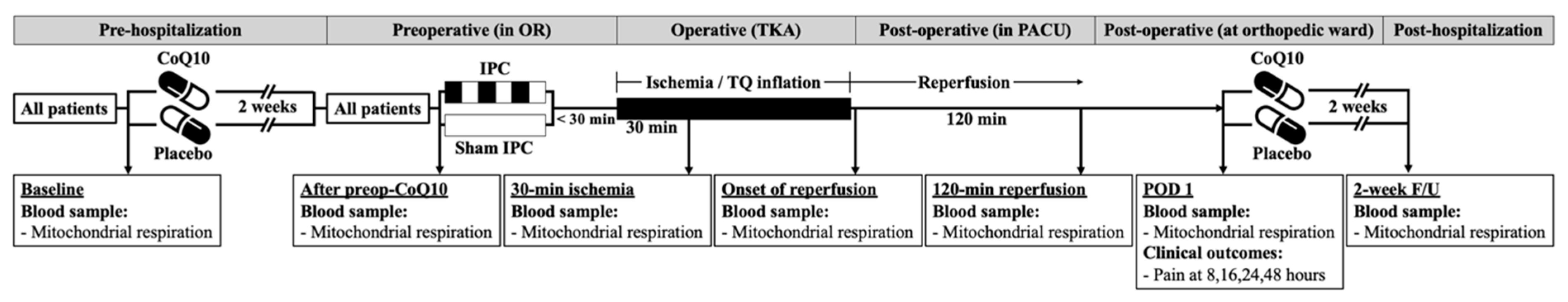Antioxidants 11 00419 g001