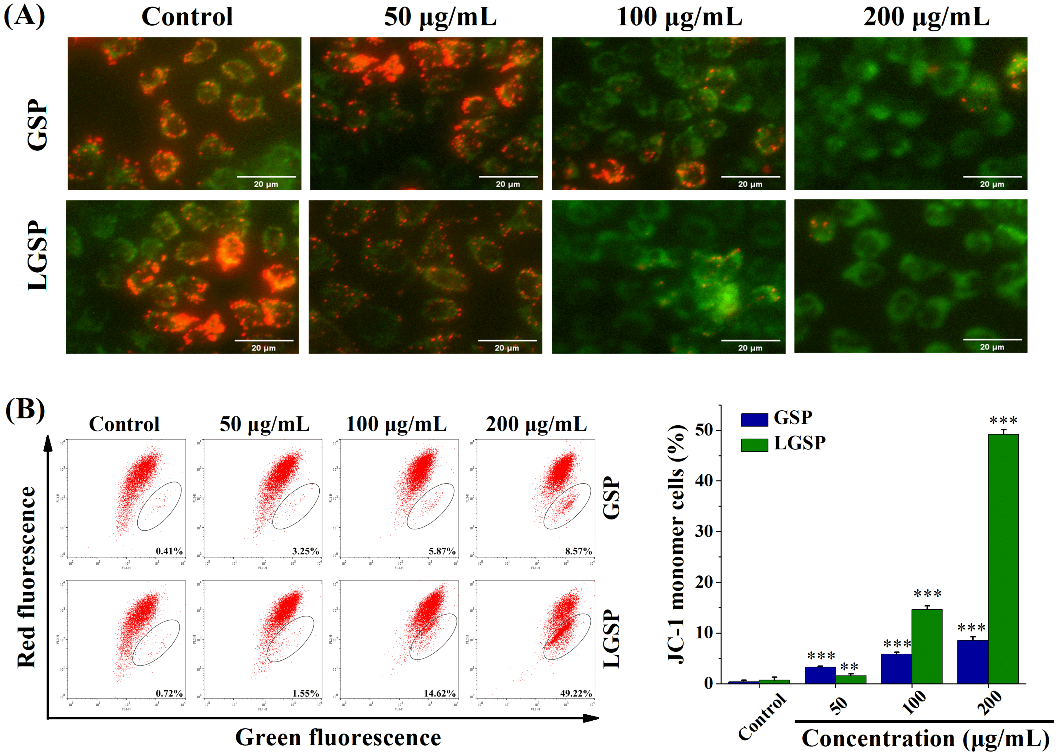 Antioxidants 11 00422 g004