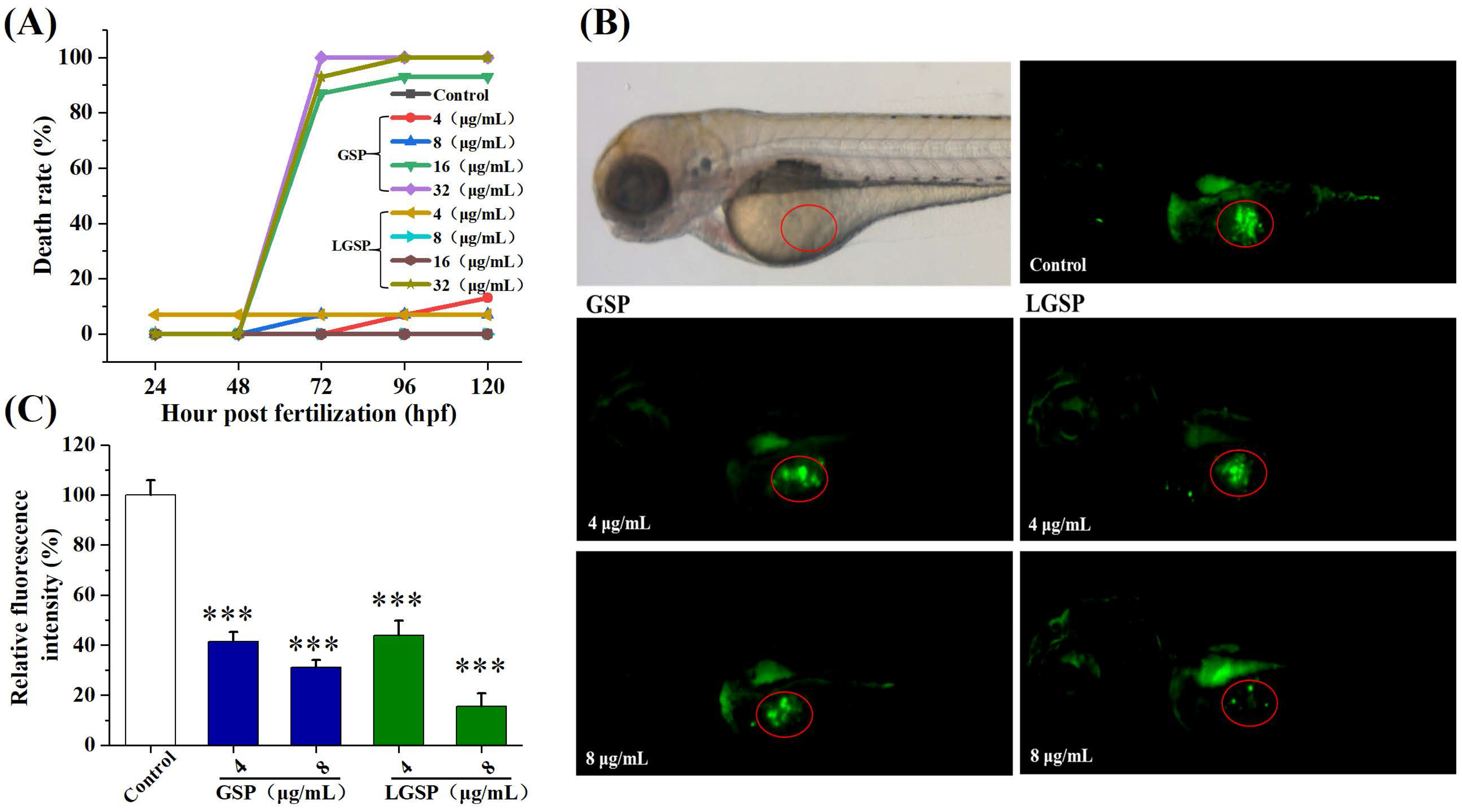 Antioxidants 11 00422 g006