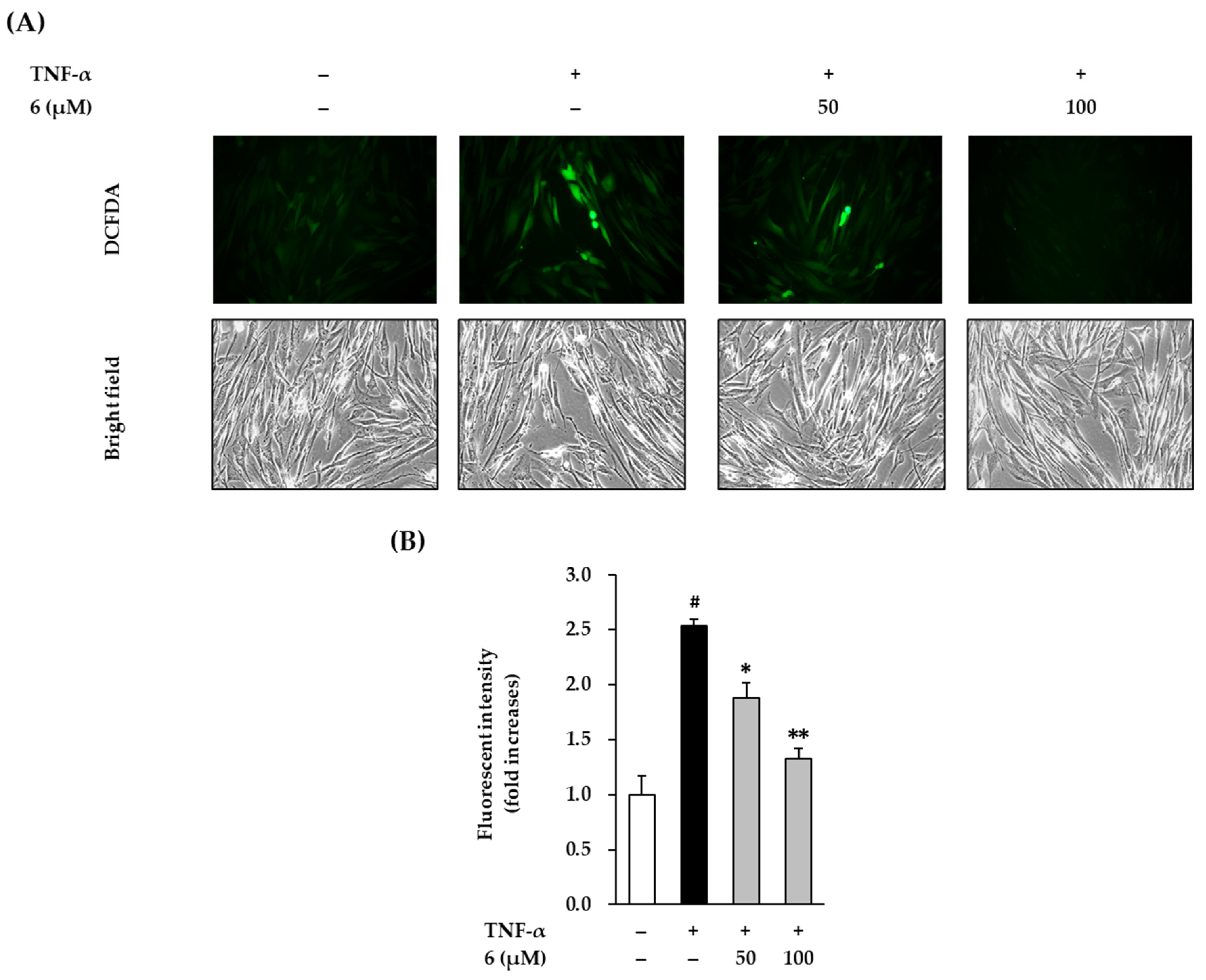 Antioxidants 11 00425 g004