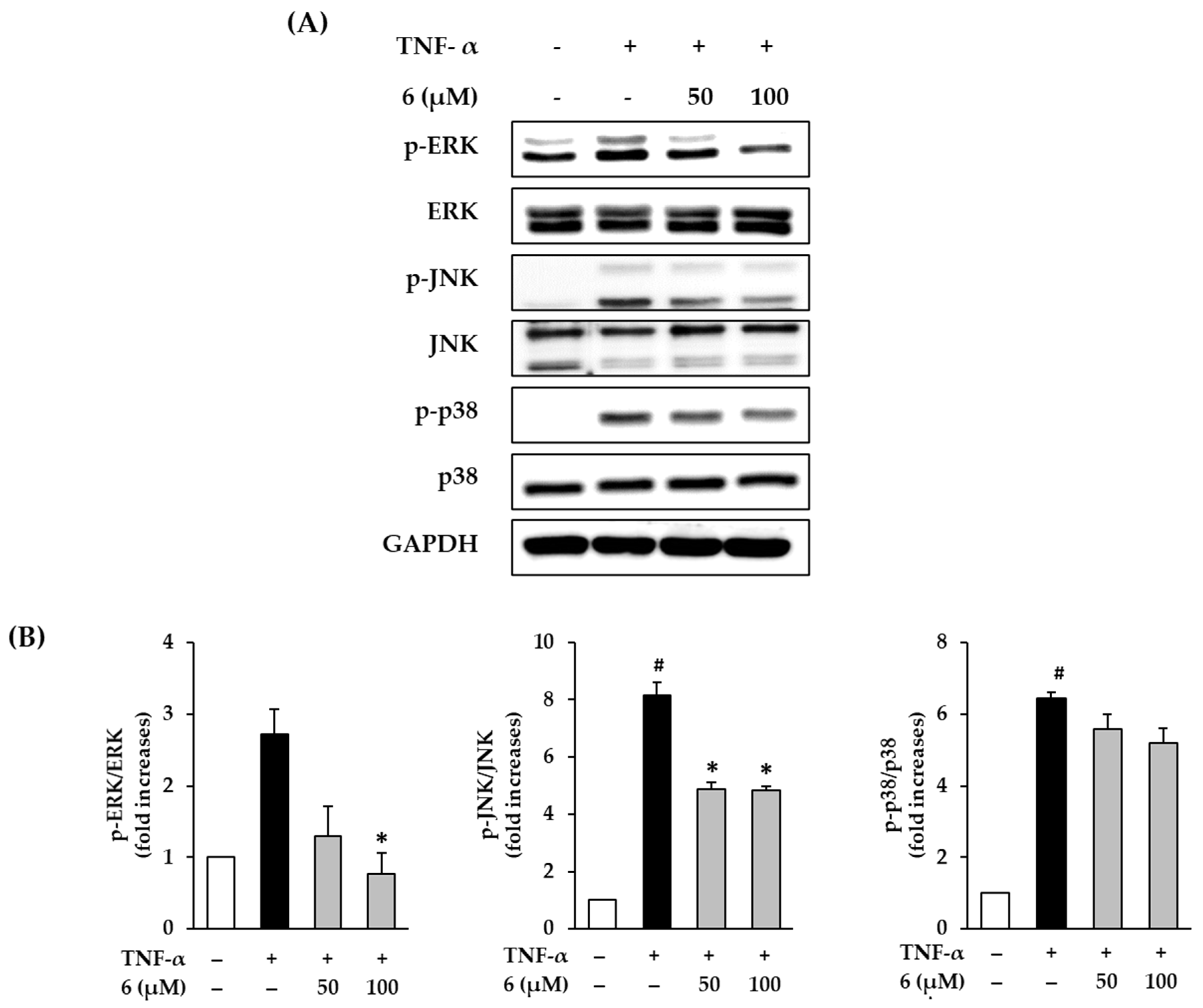 Antioxidants 11 00425 g005