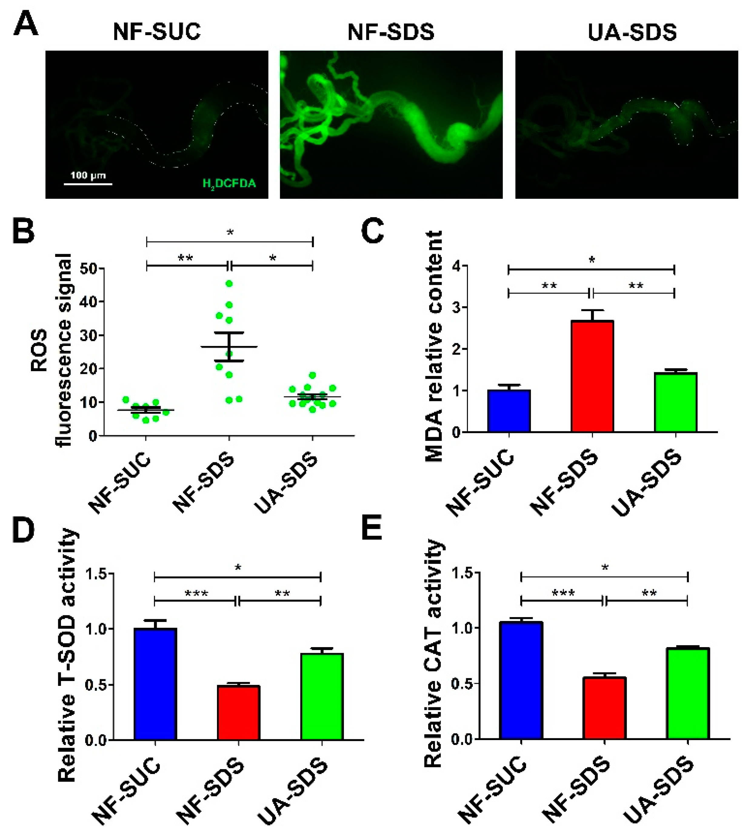 Antioxidants 11 00426 g004