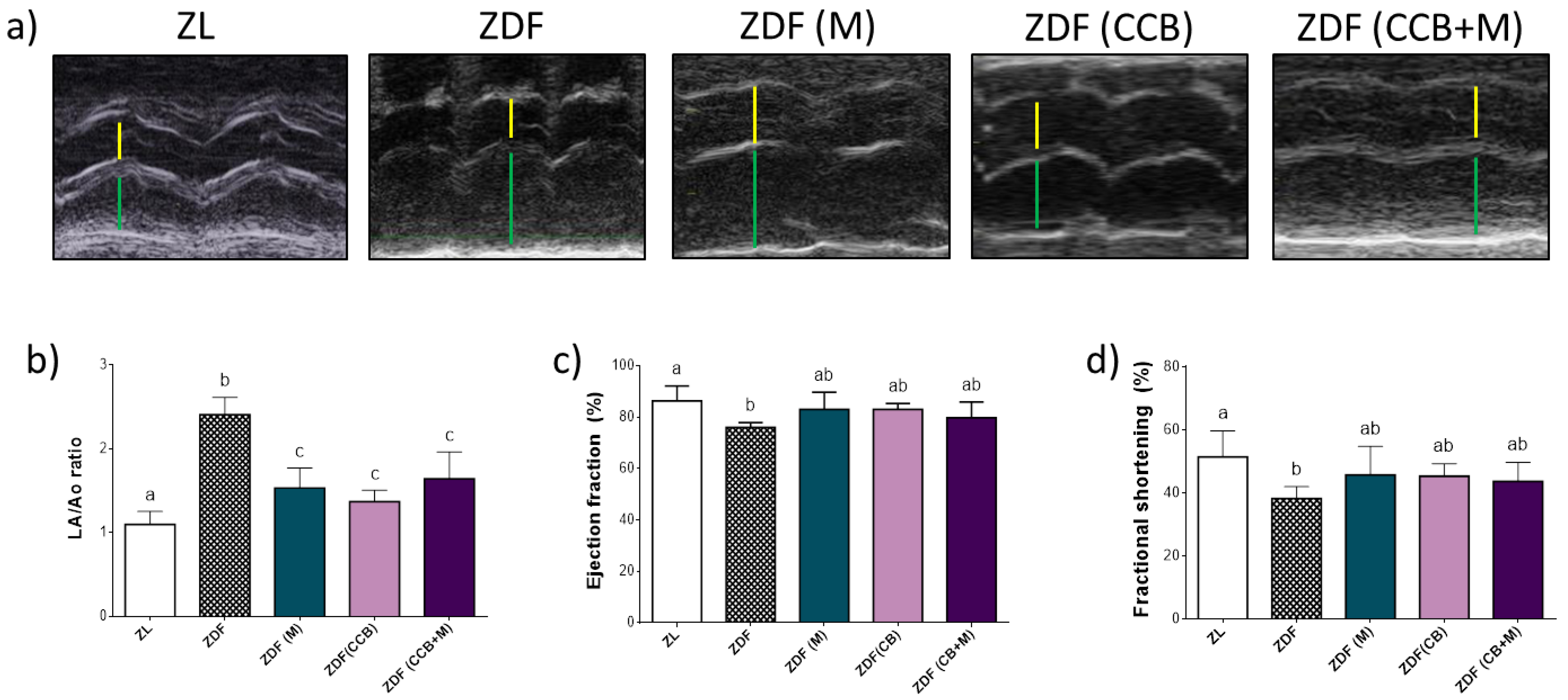 Antioxidants 11 00432 g002