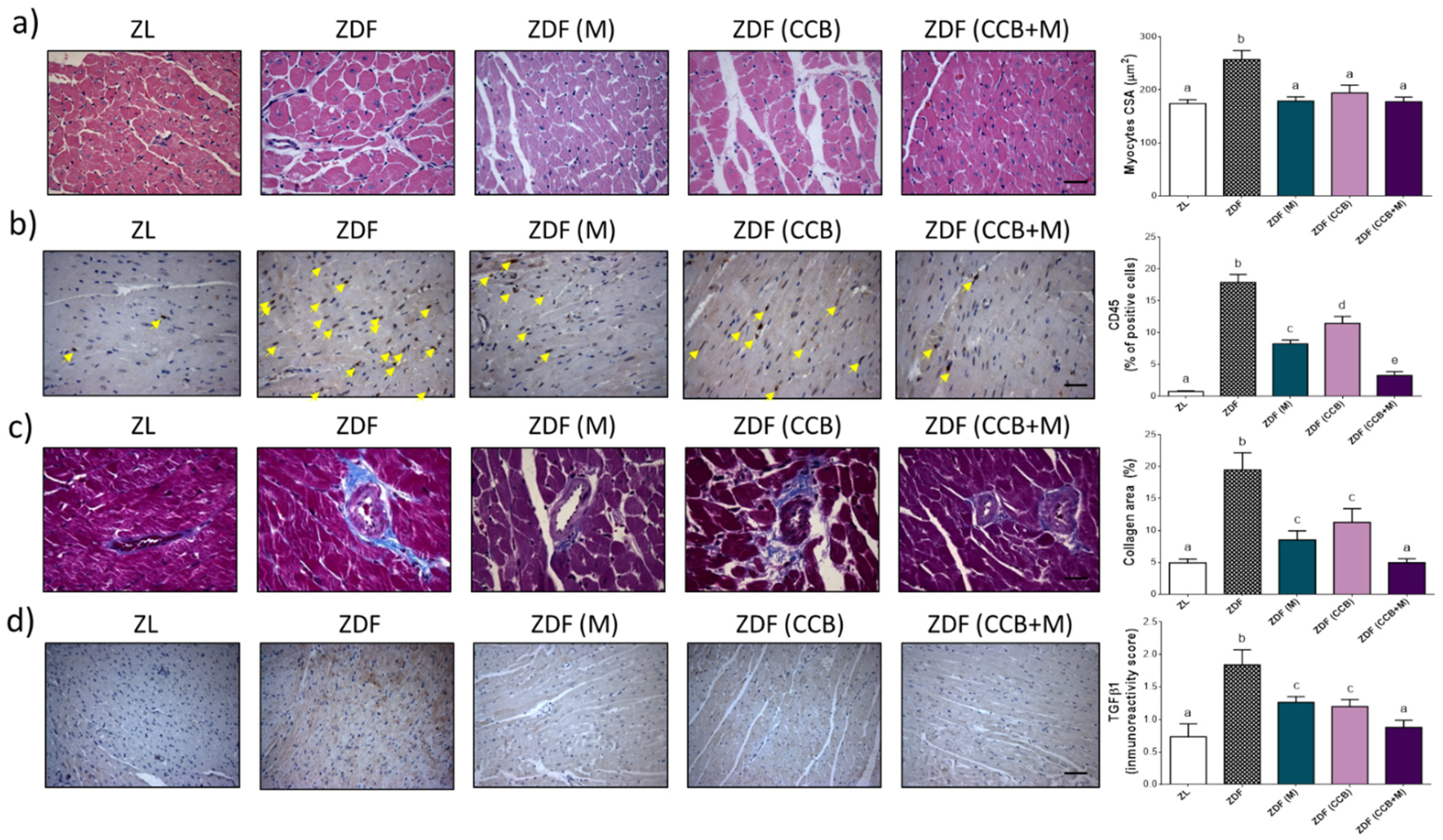 Antioxidants 11 00432 g003