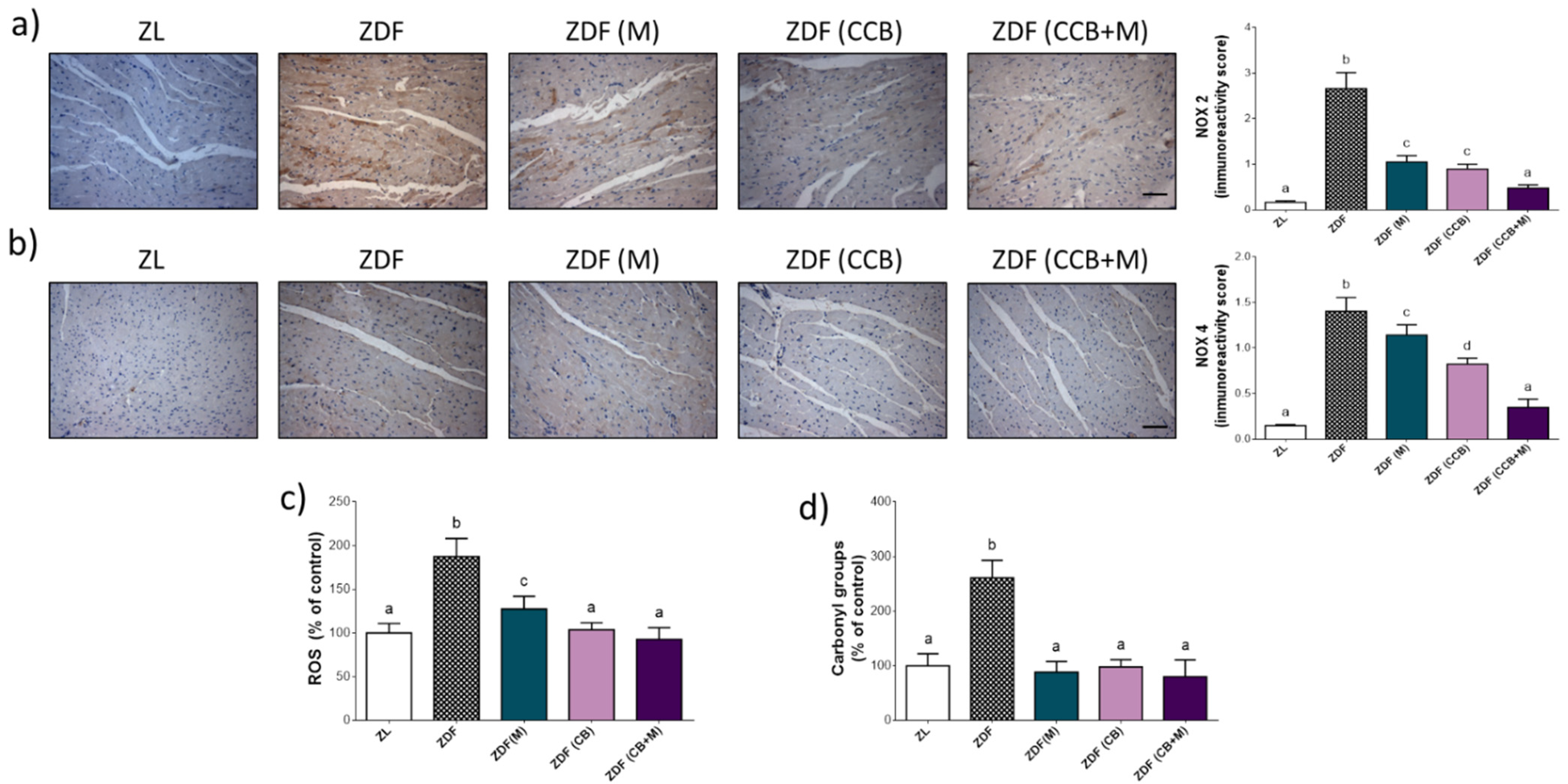 Antioxidants 11 00432 g004