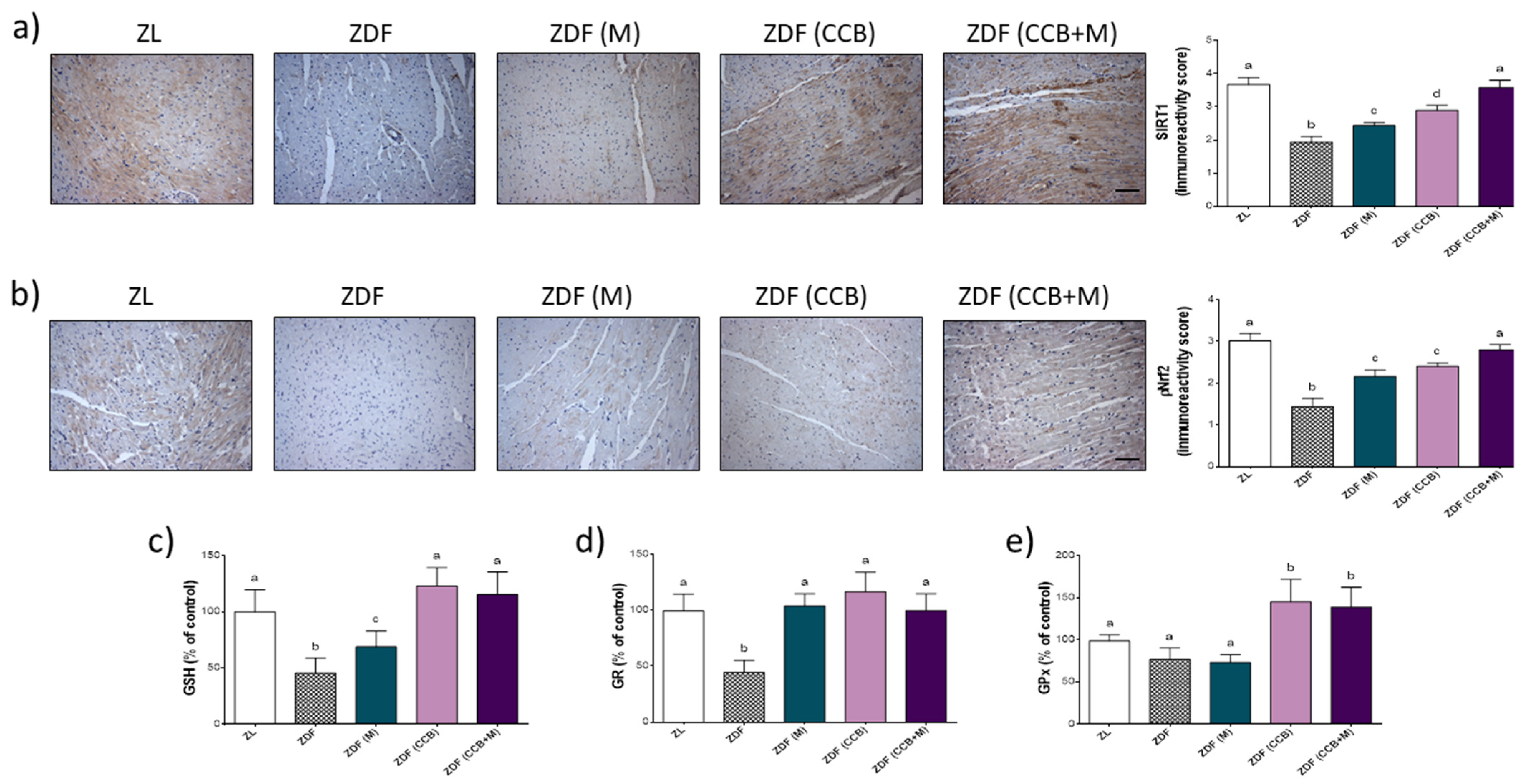 Antioxidants 11 00432 g005