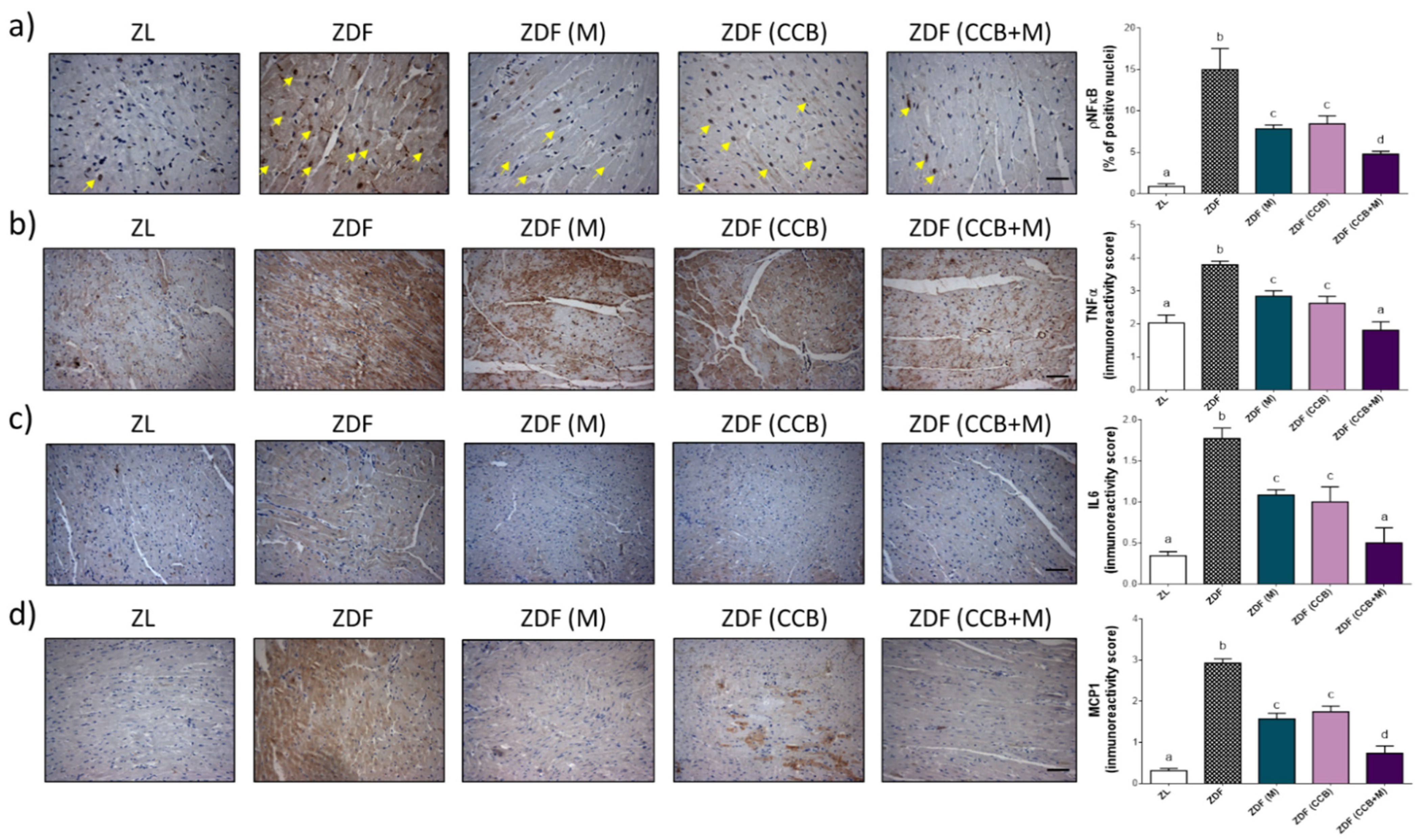 Antioxidants 11 00432 g006