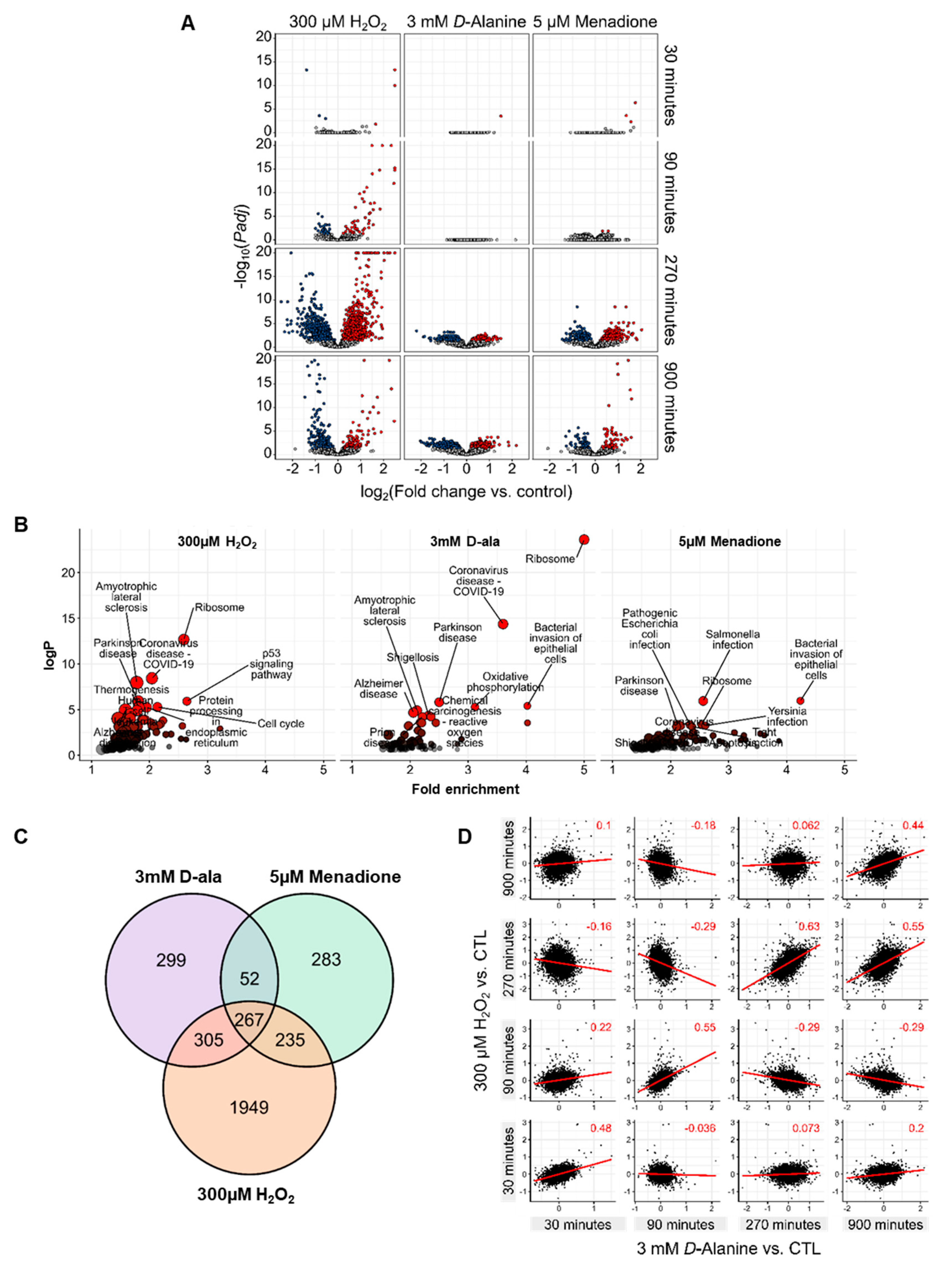 Antioxidants 11 00434 g004