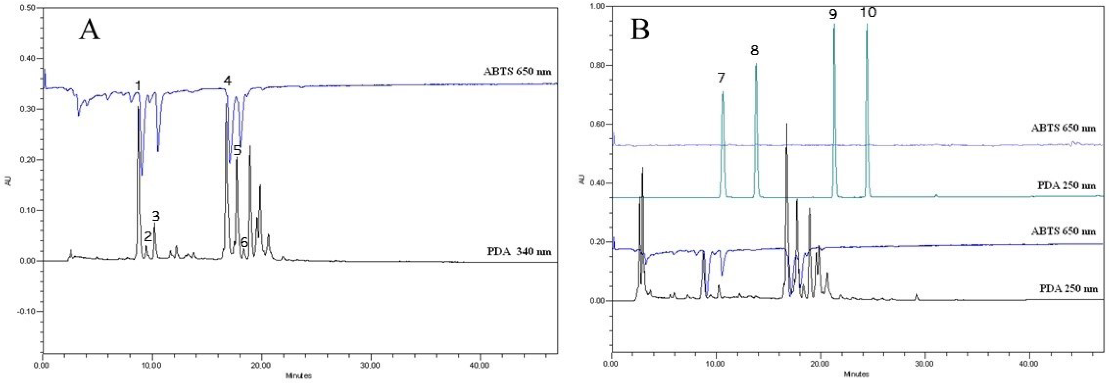 Antioxidants 11 00435 g010
