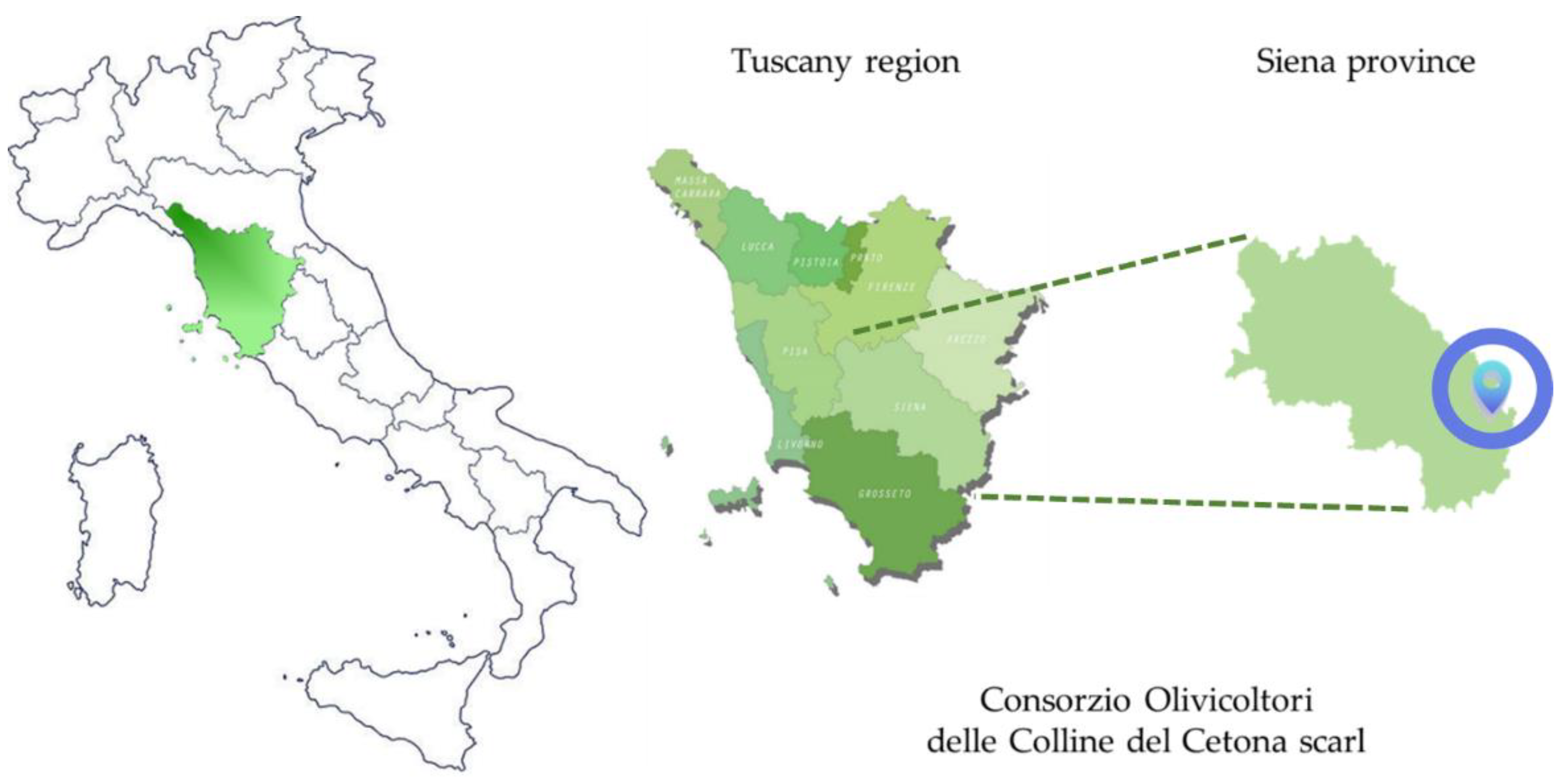 Antioxidants 11 00437 g001