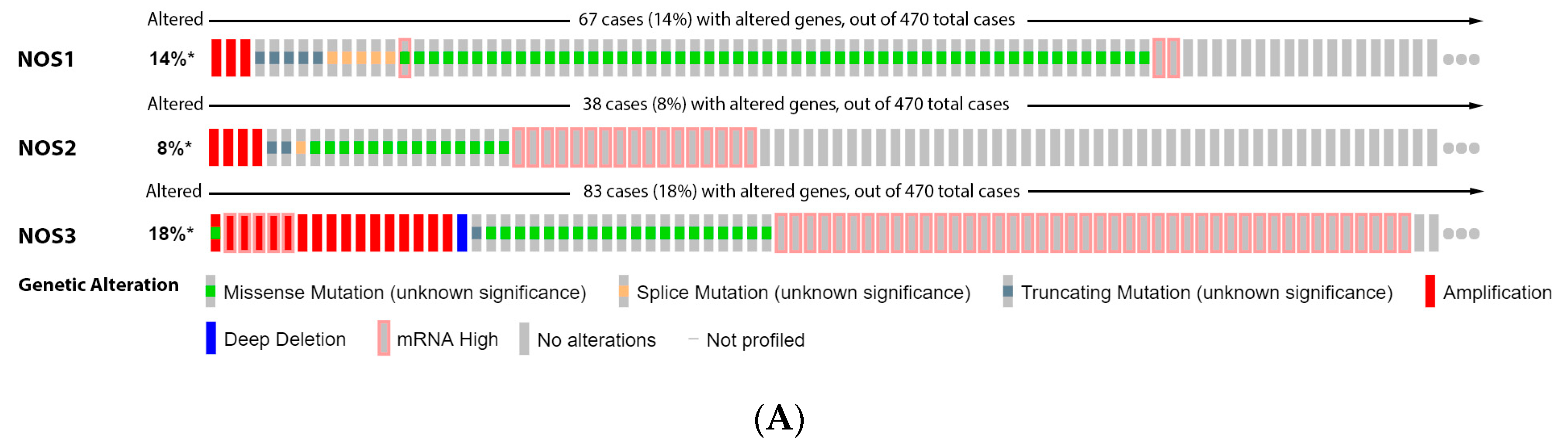Antioxidants 11 00438 g001a