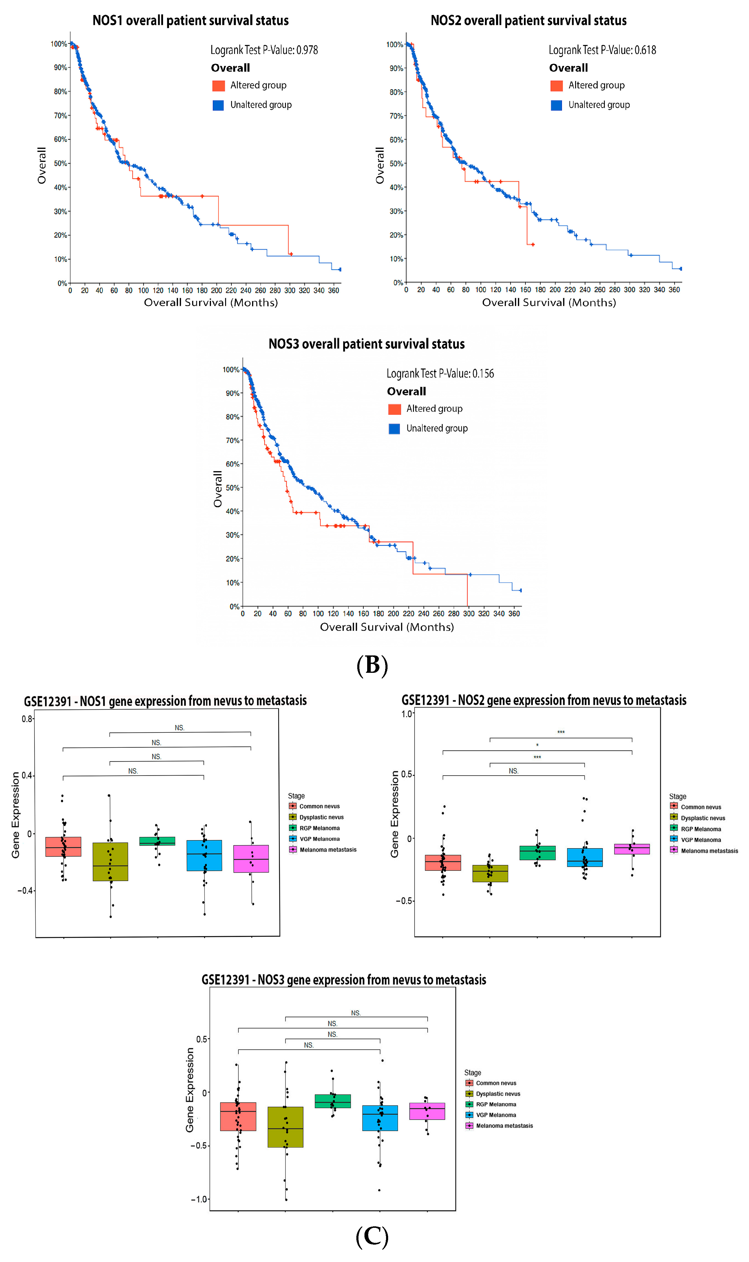 Antioxidants 11 00438 g001b